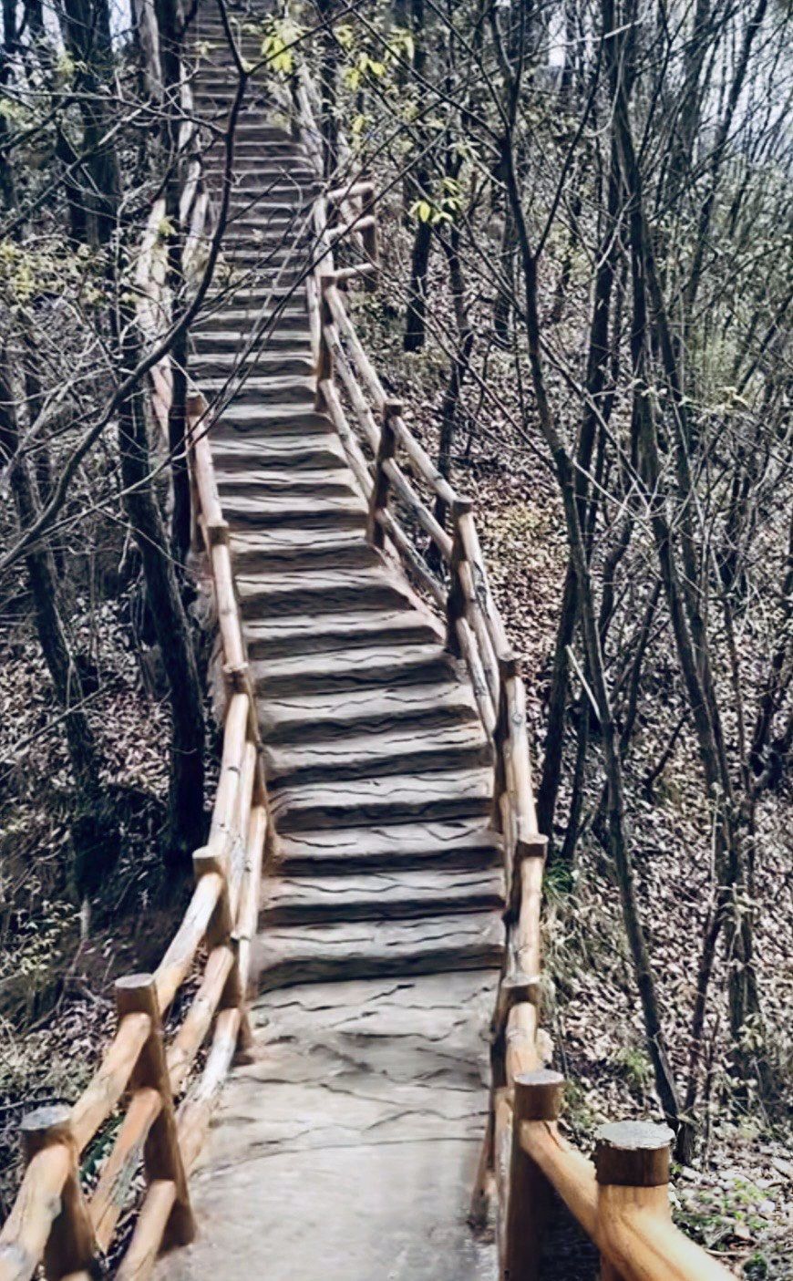 九龙山风景区旅行图片 2