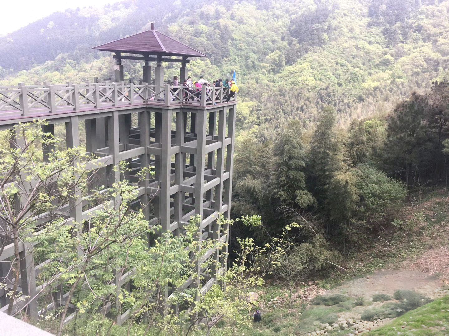 九龙山风景区旅行图片 3