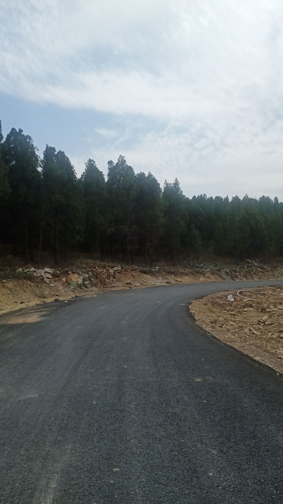 九龙山风景区旅行图片 1