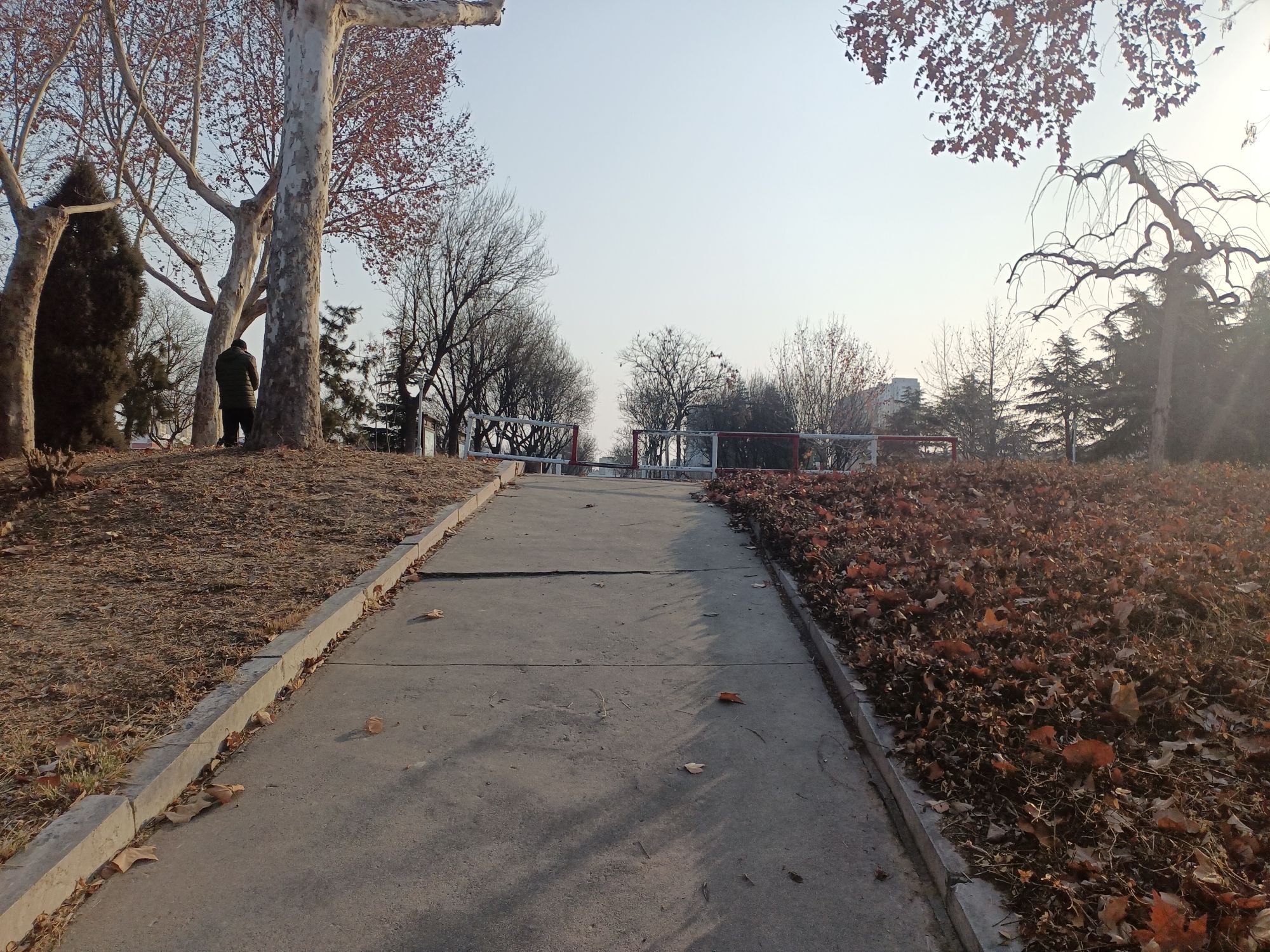 东阿广场旅行图片 3