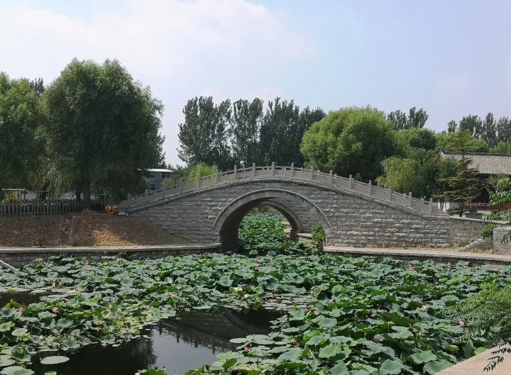 东阿广场旅行图片 3