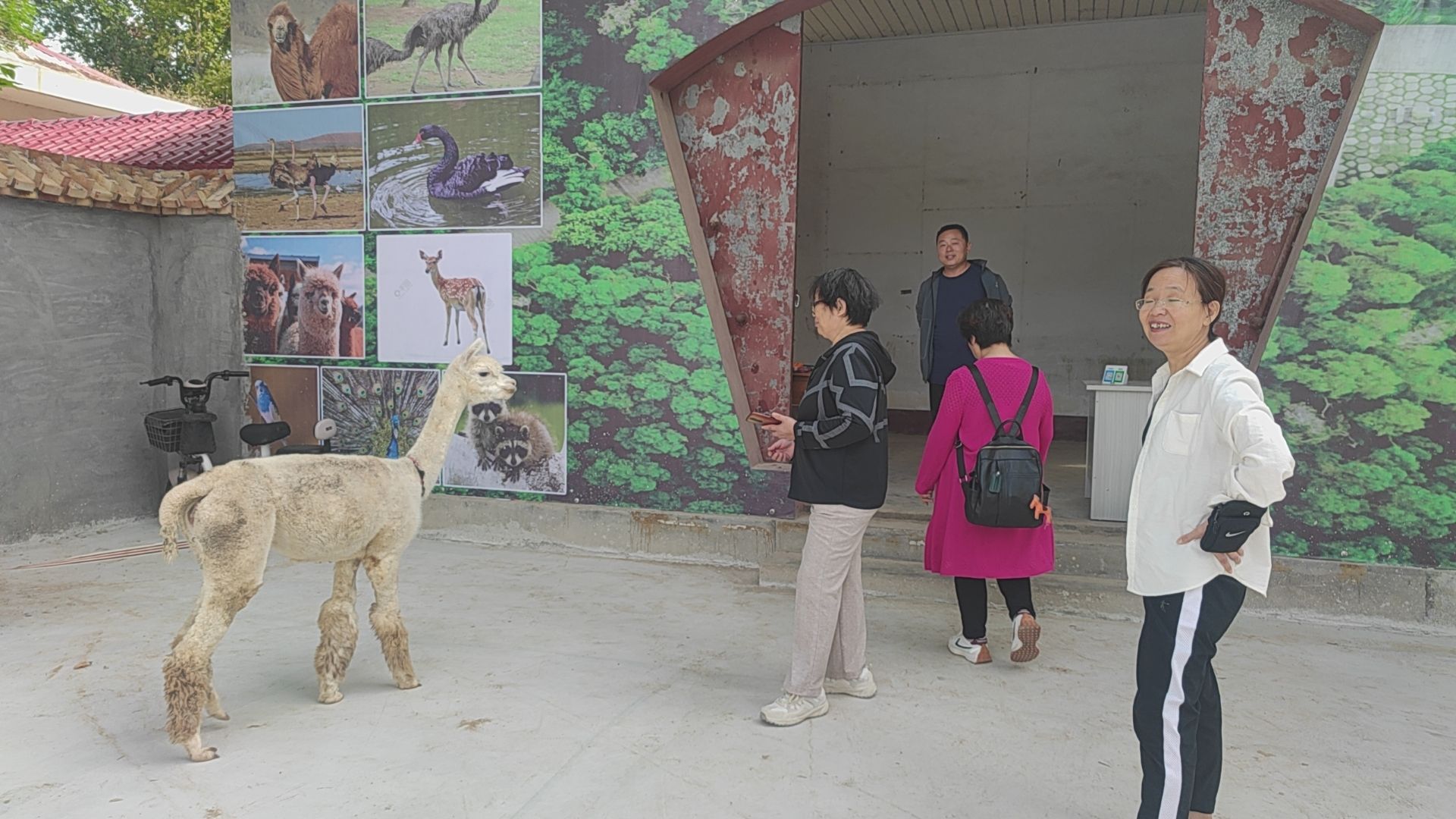 姜堤乐园旅行图片 3