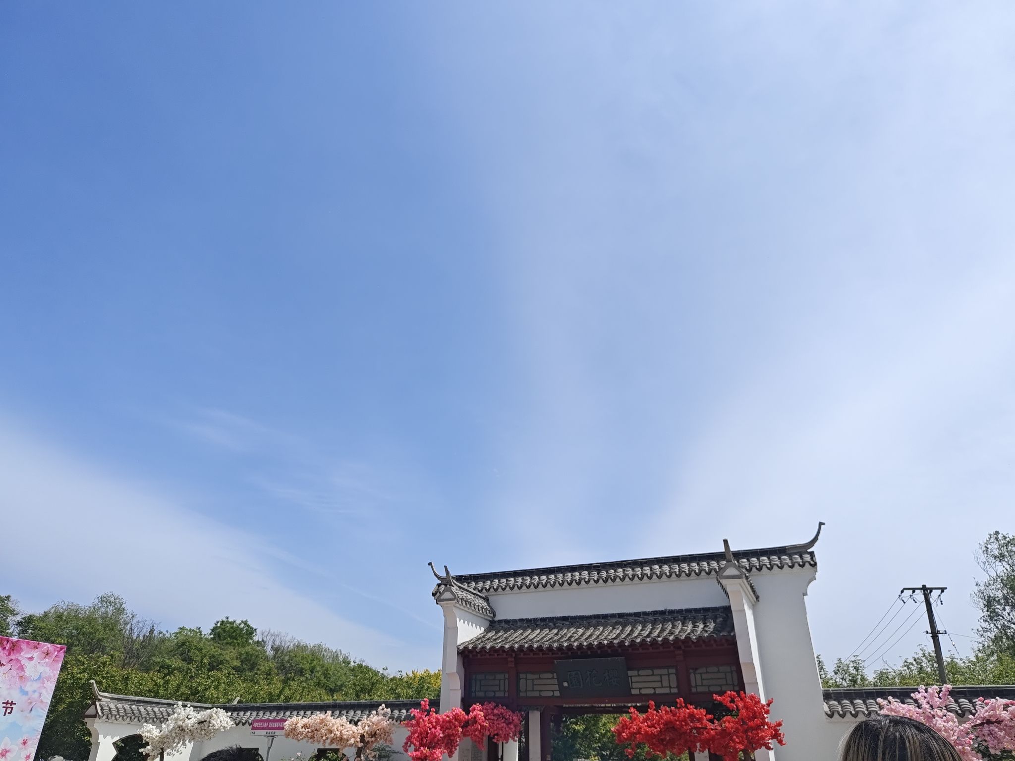 姜堤乐园旅行图片 2