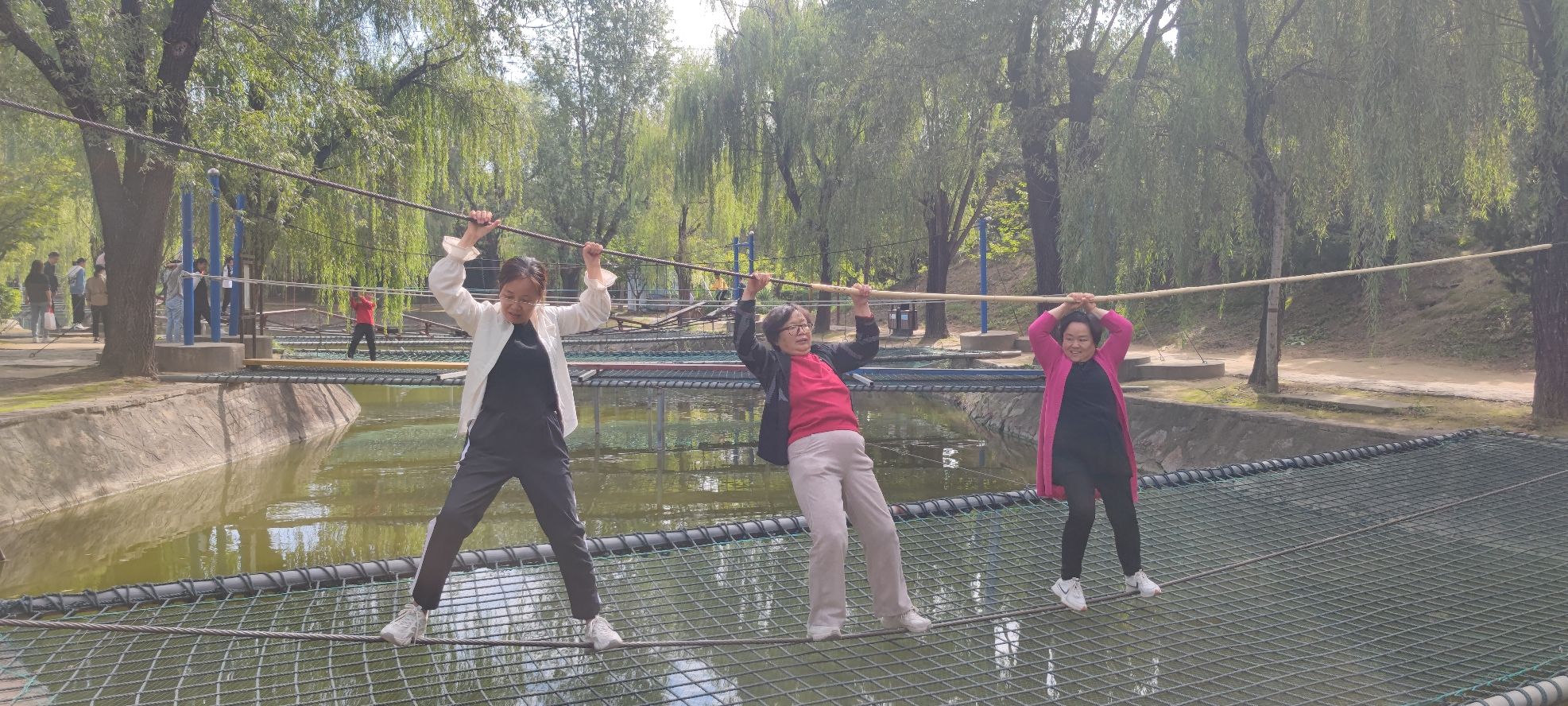 姜堤乐园旅行图片 1