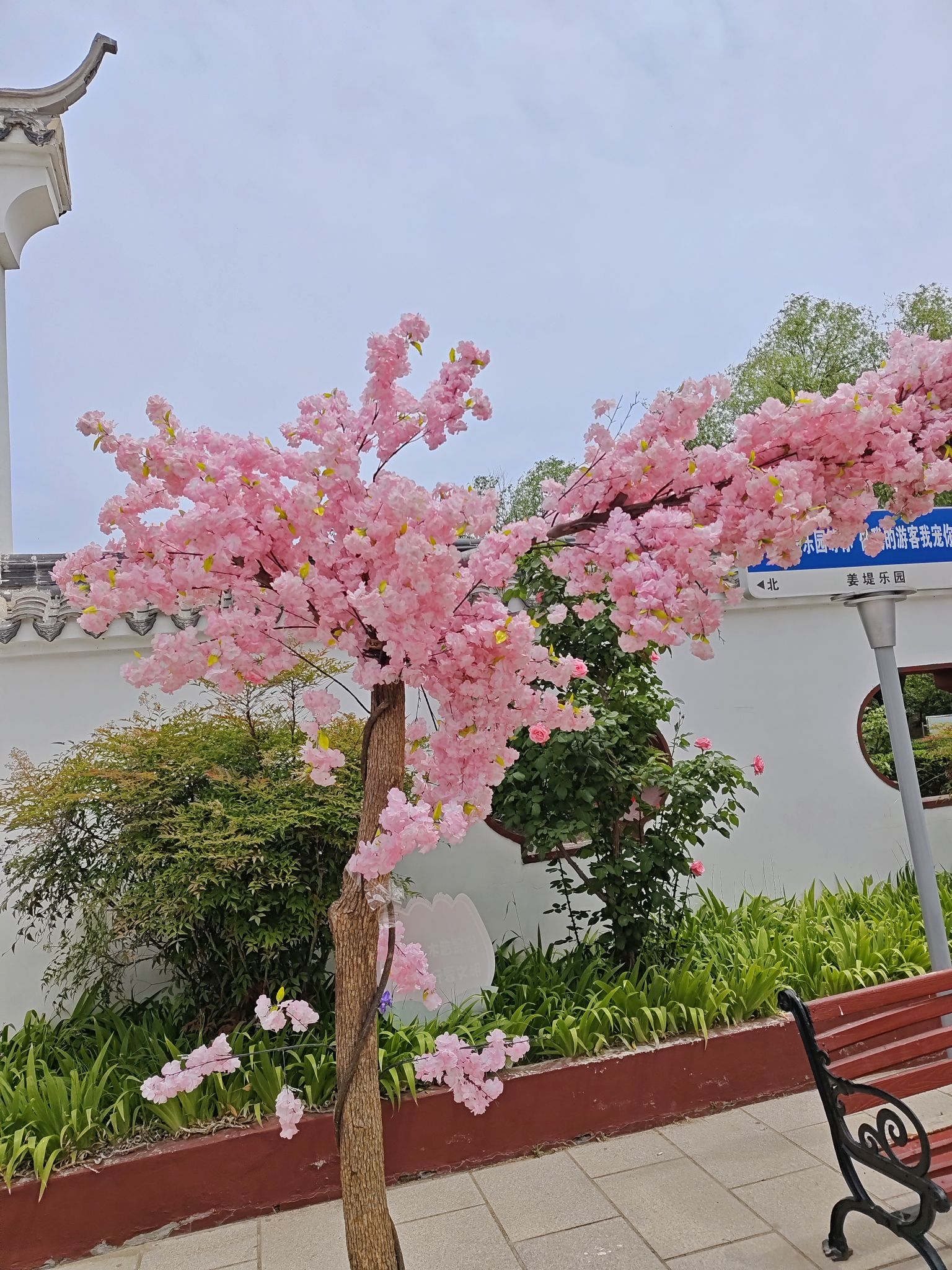 姜堤乐园旅行图片 3