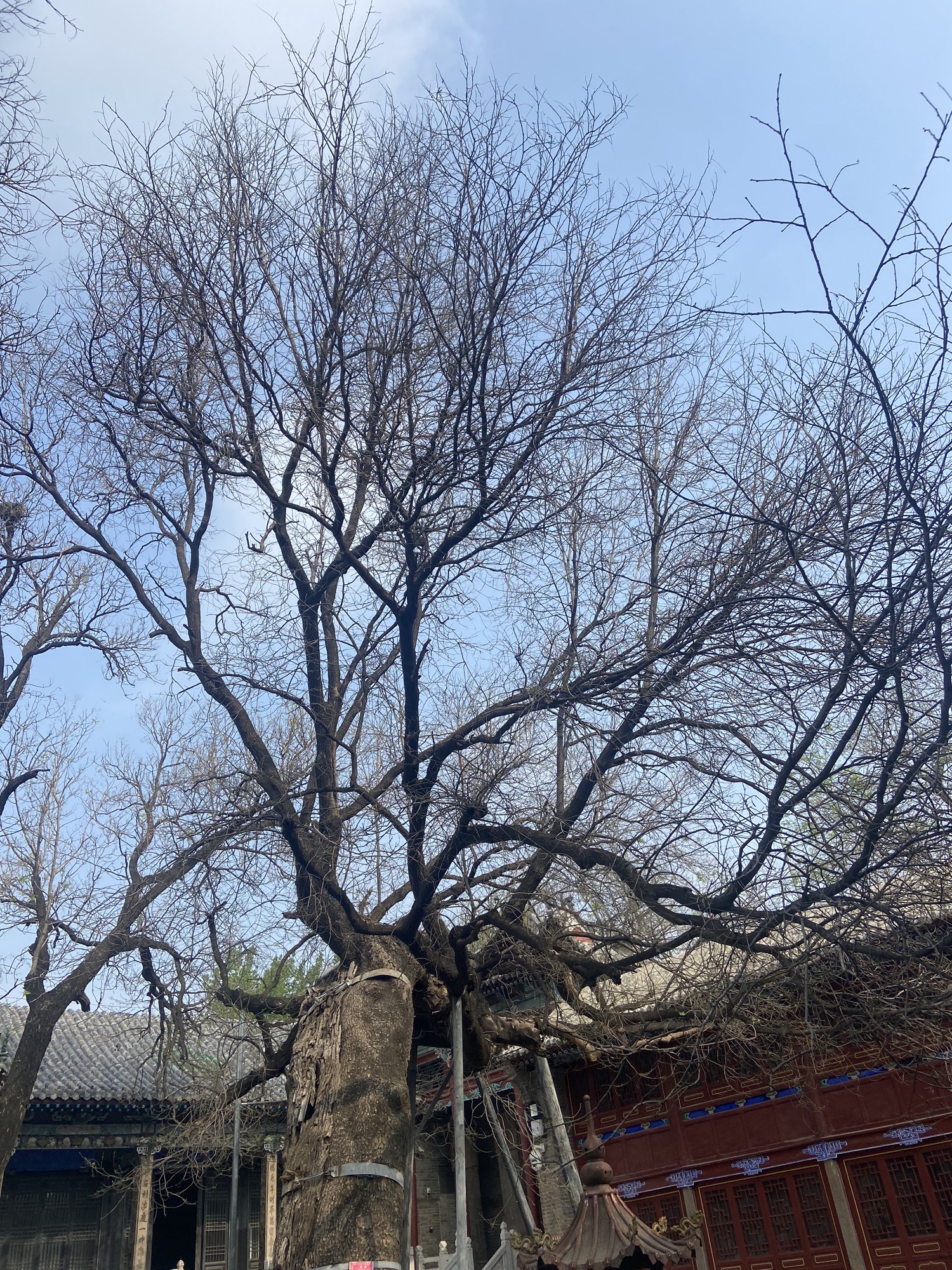 山陕会馆旅行图片 2