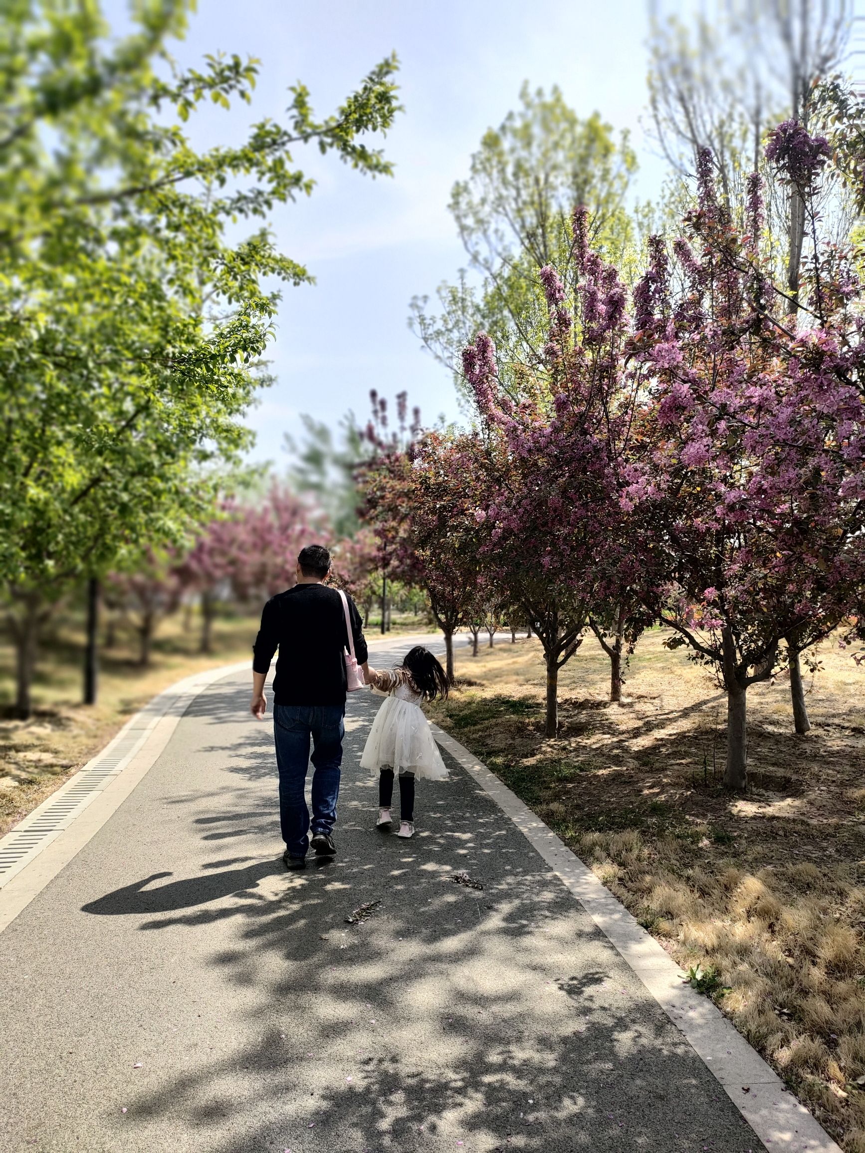 湖西带状公园
