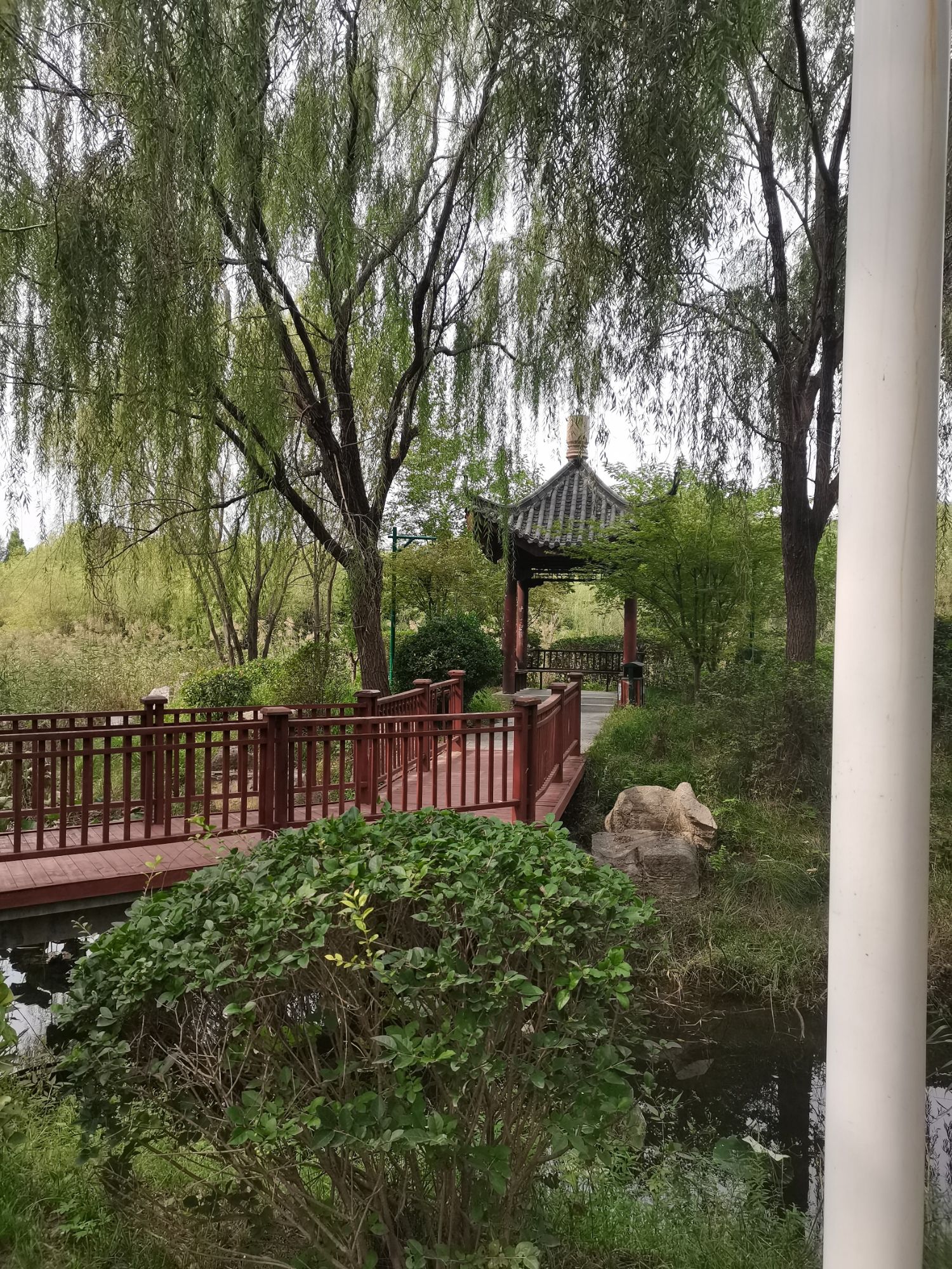 湖西带状公园旅行图片 2