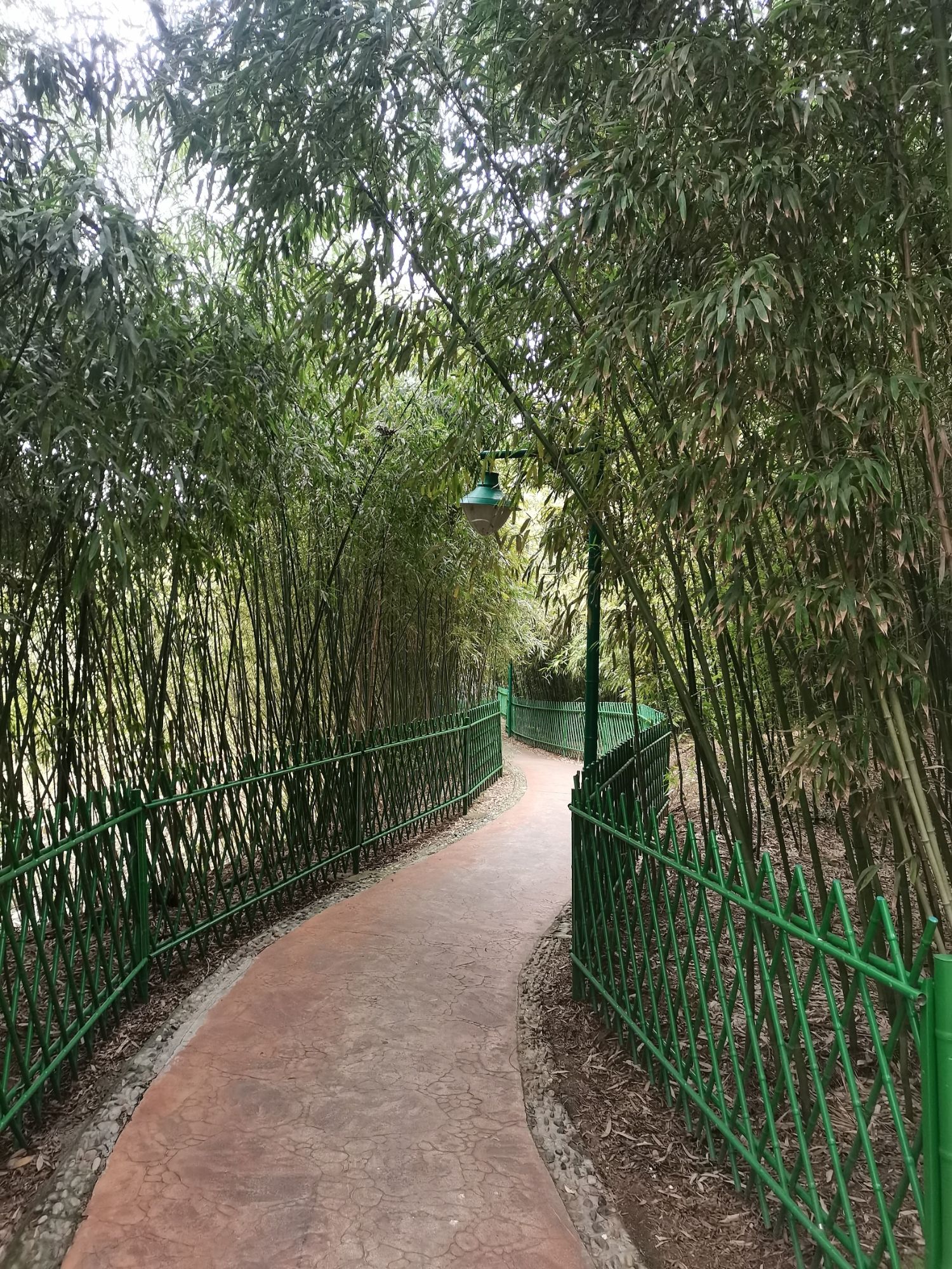 湖西带状公园旅行图片 1