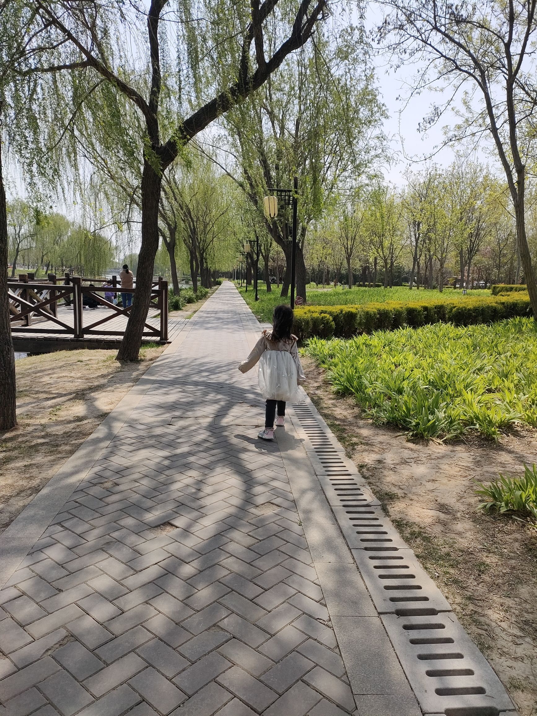 湖西带状公园旅行图片 1