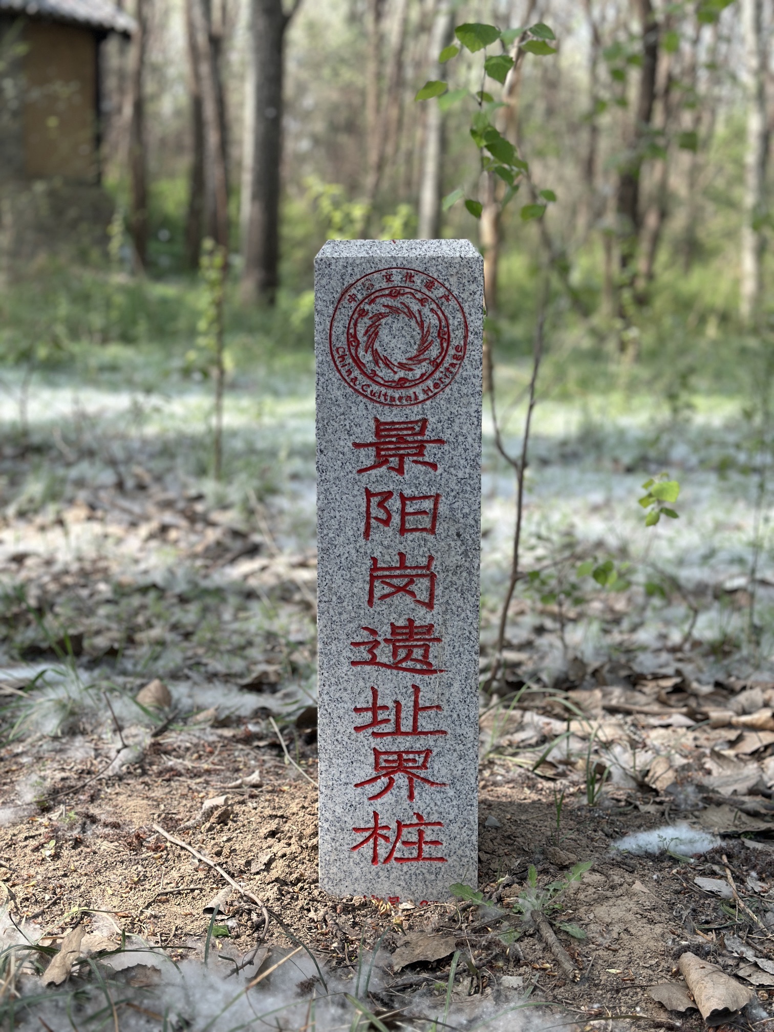 景阳冈旅行图片 1