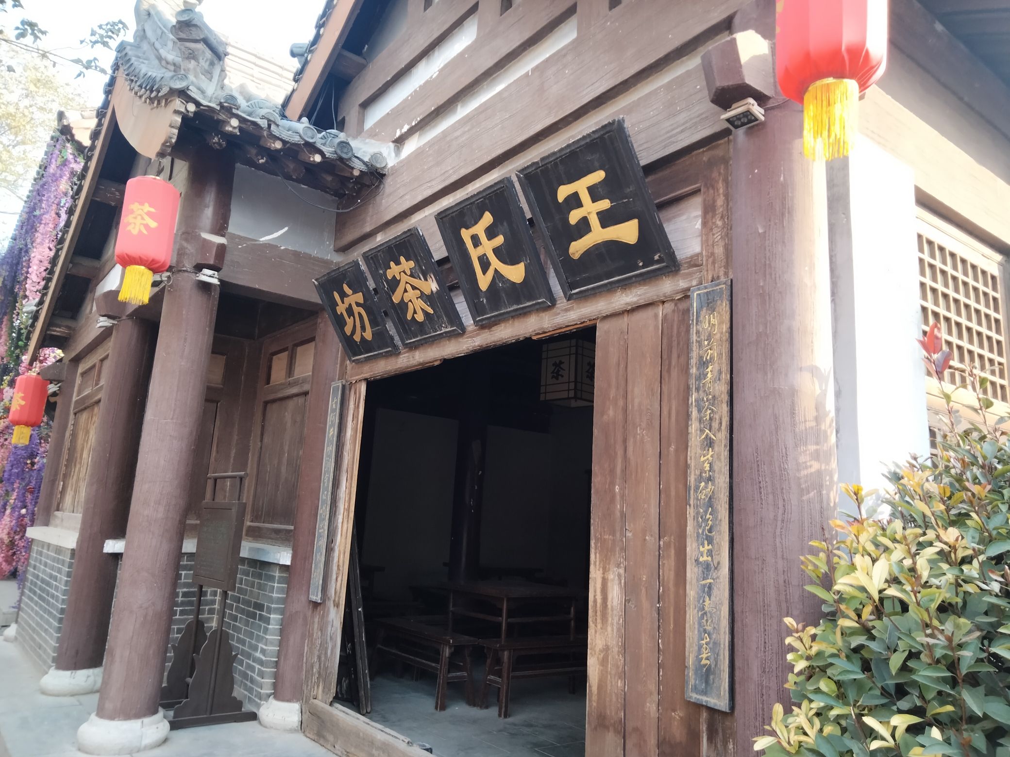 狮子楼旅行图片 3