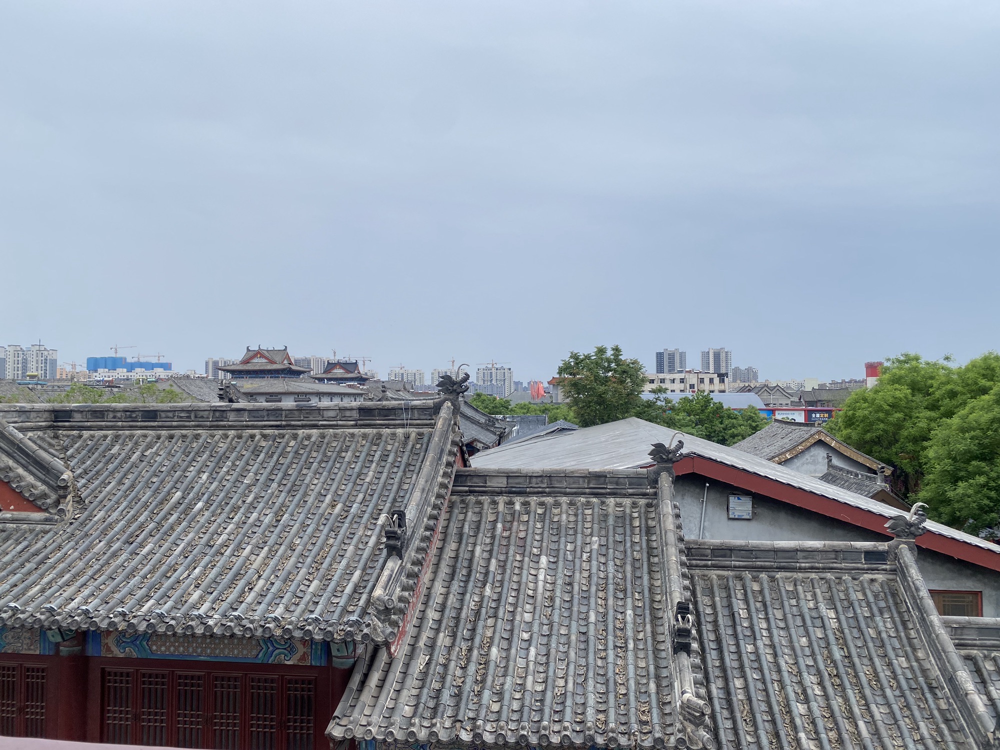 狮子楼旅行图片 2