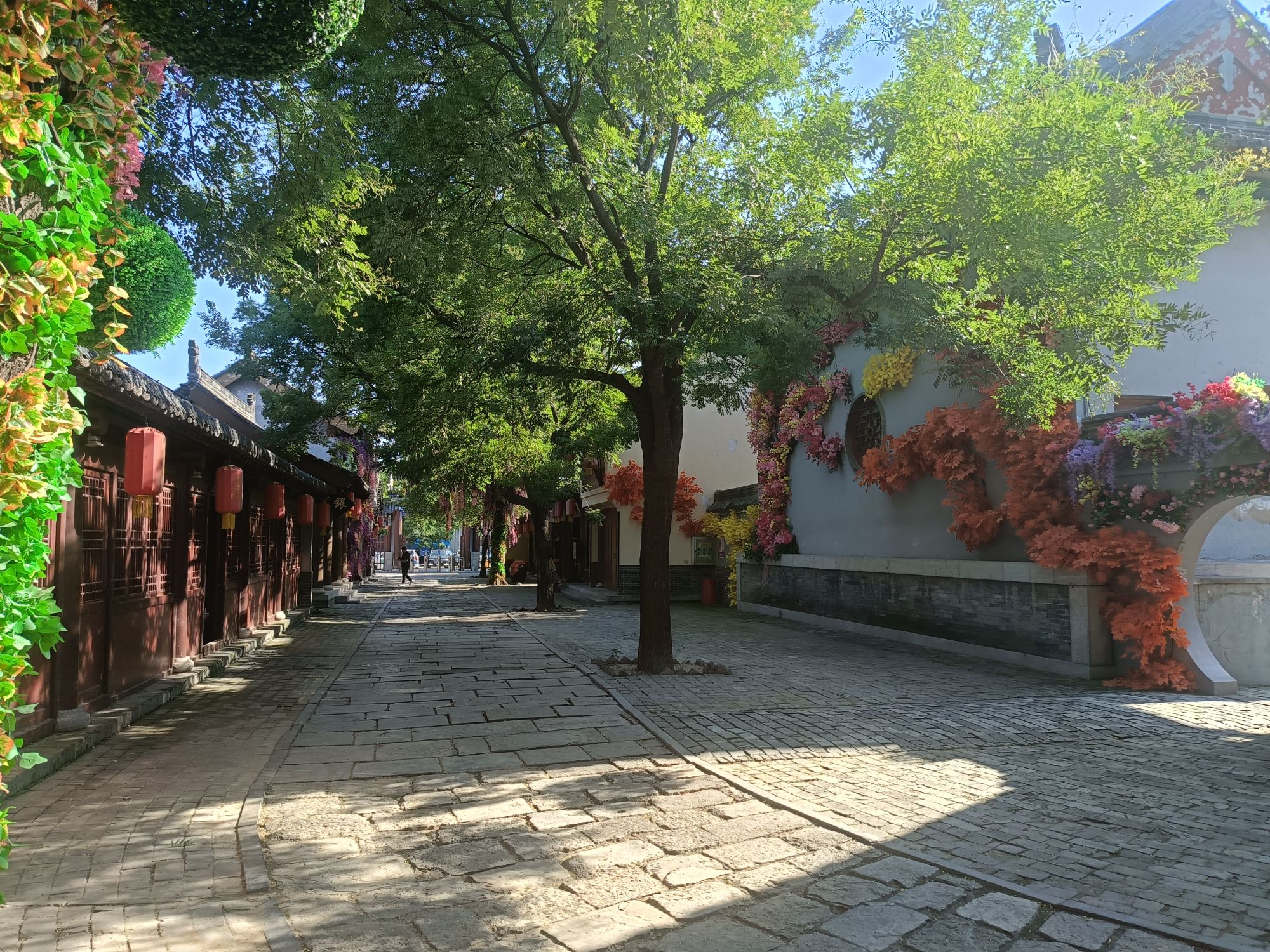 狮子楼旅行图片 1