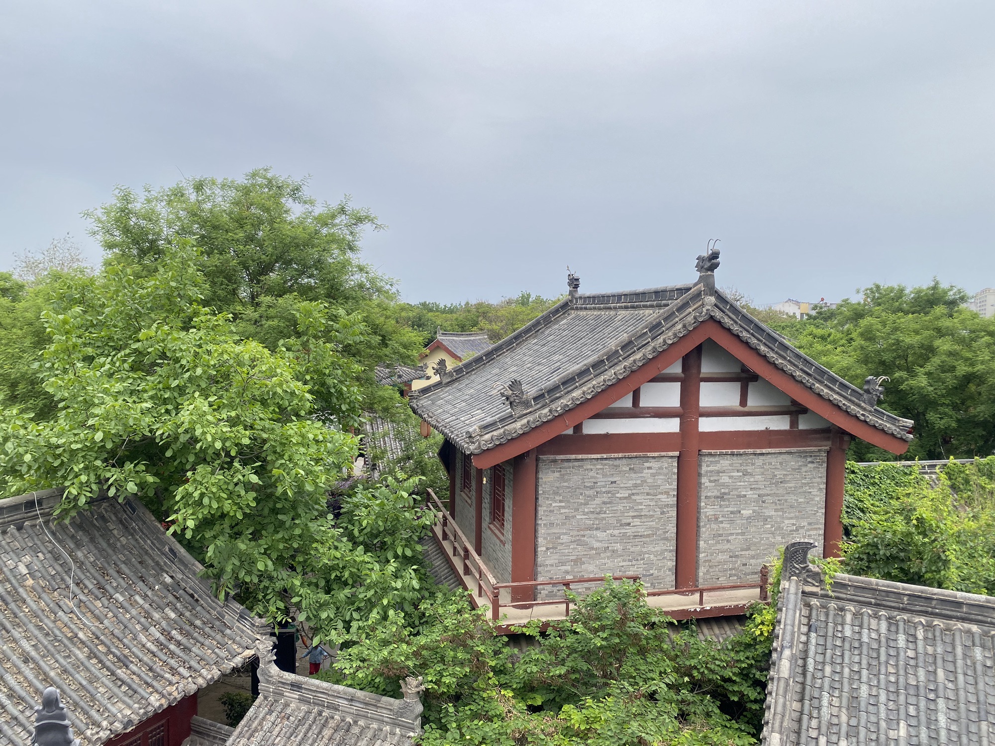 狮子楼旅行图片 3