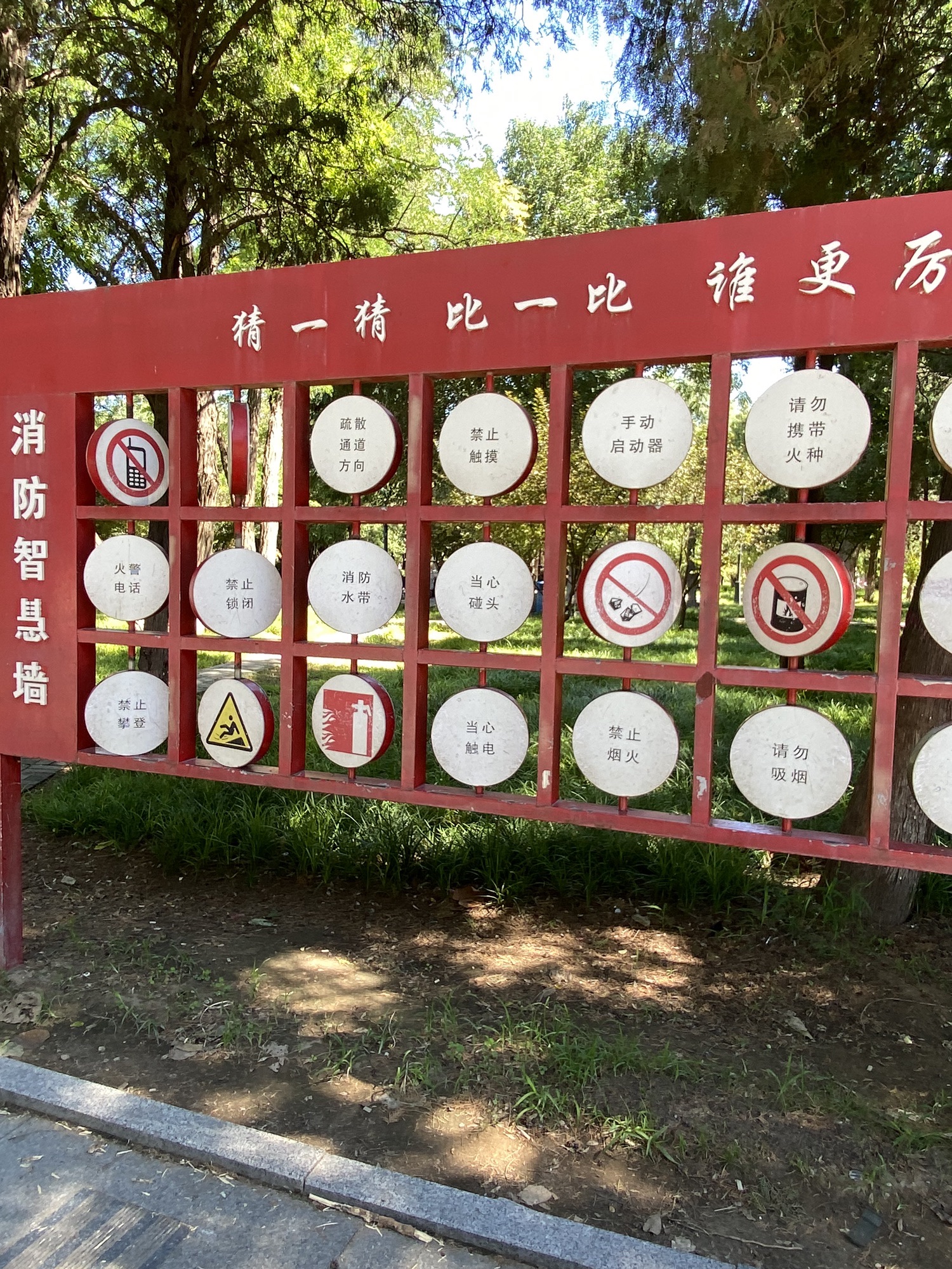 大众公园旅行图片 2