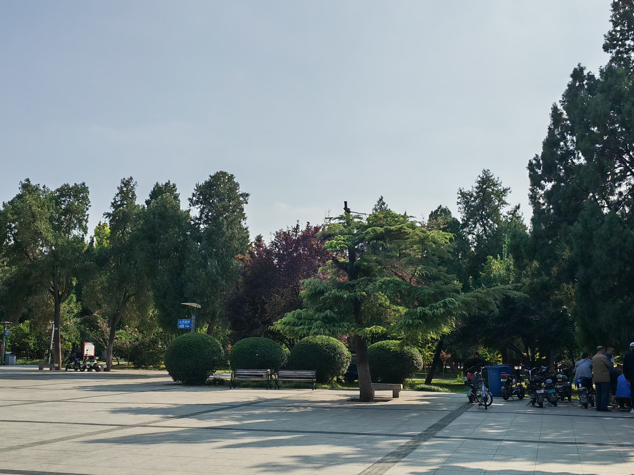 大众公园旅行图片 2