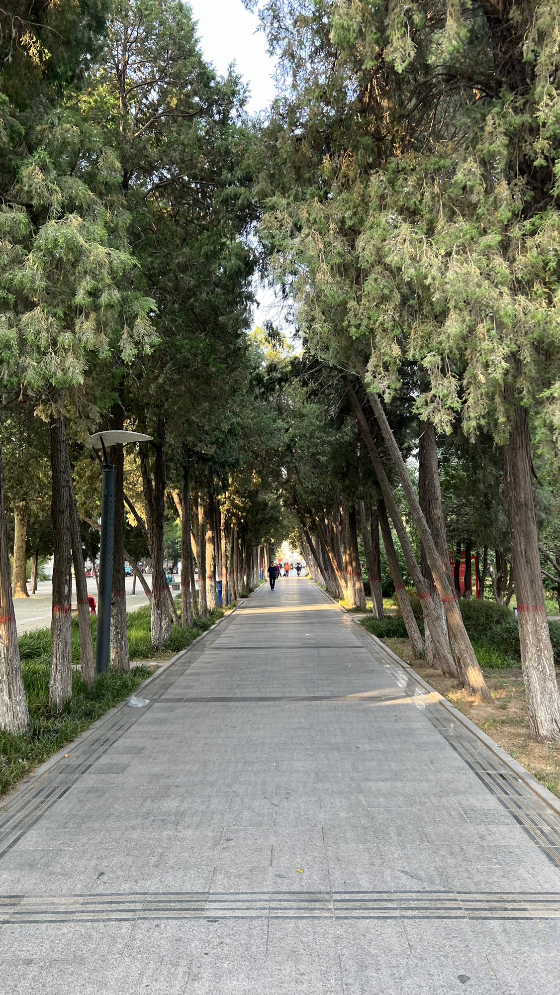 大众公园旅行图片 3