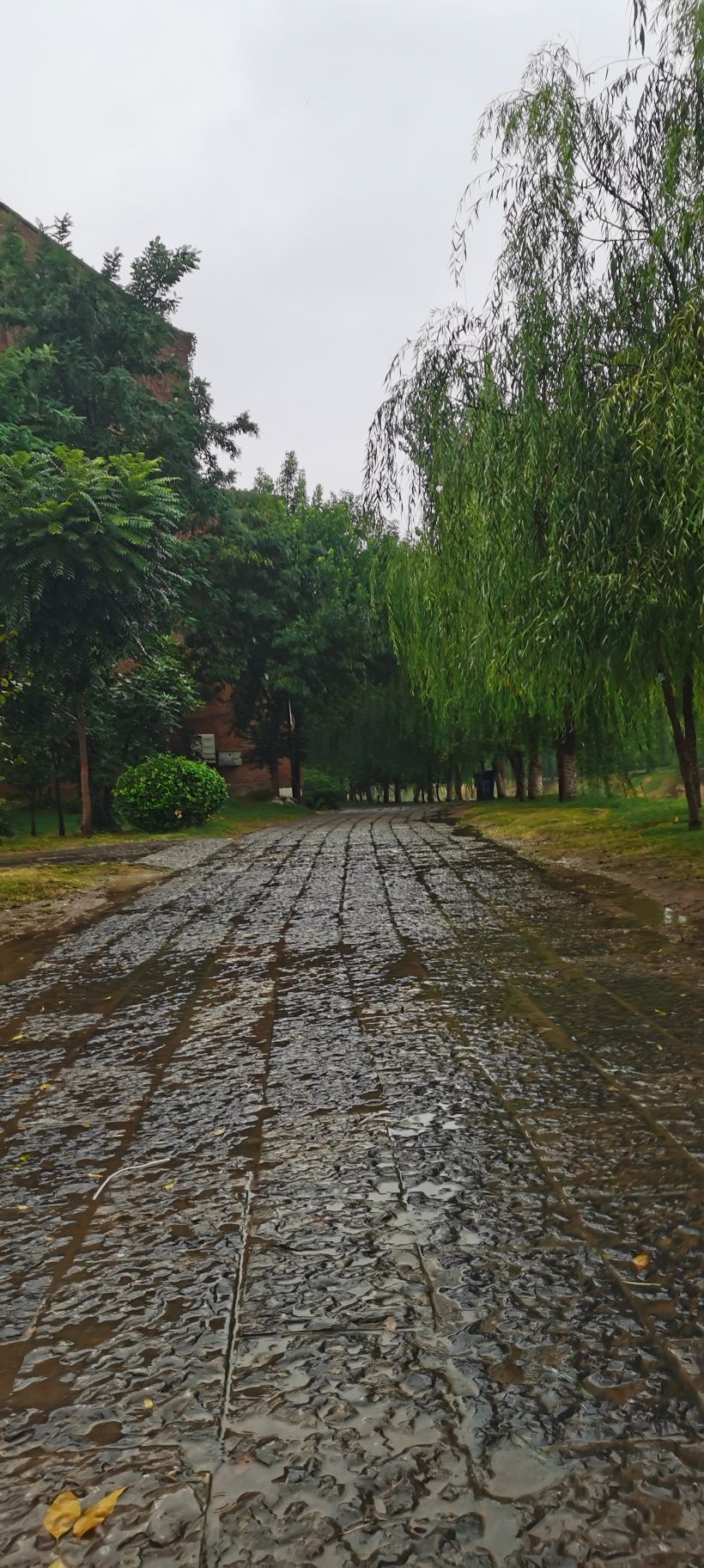 运河古城旅行图片 3