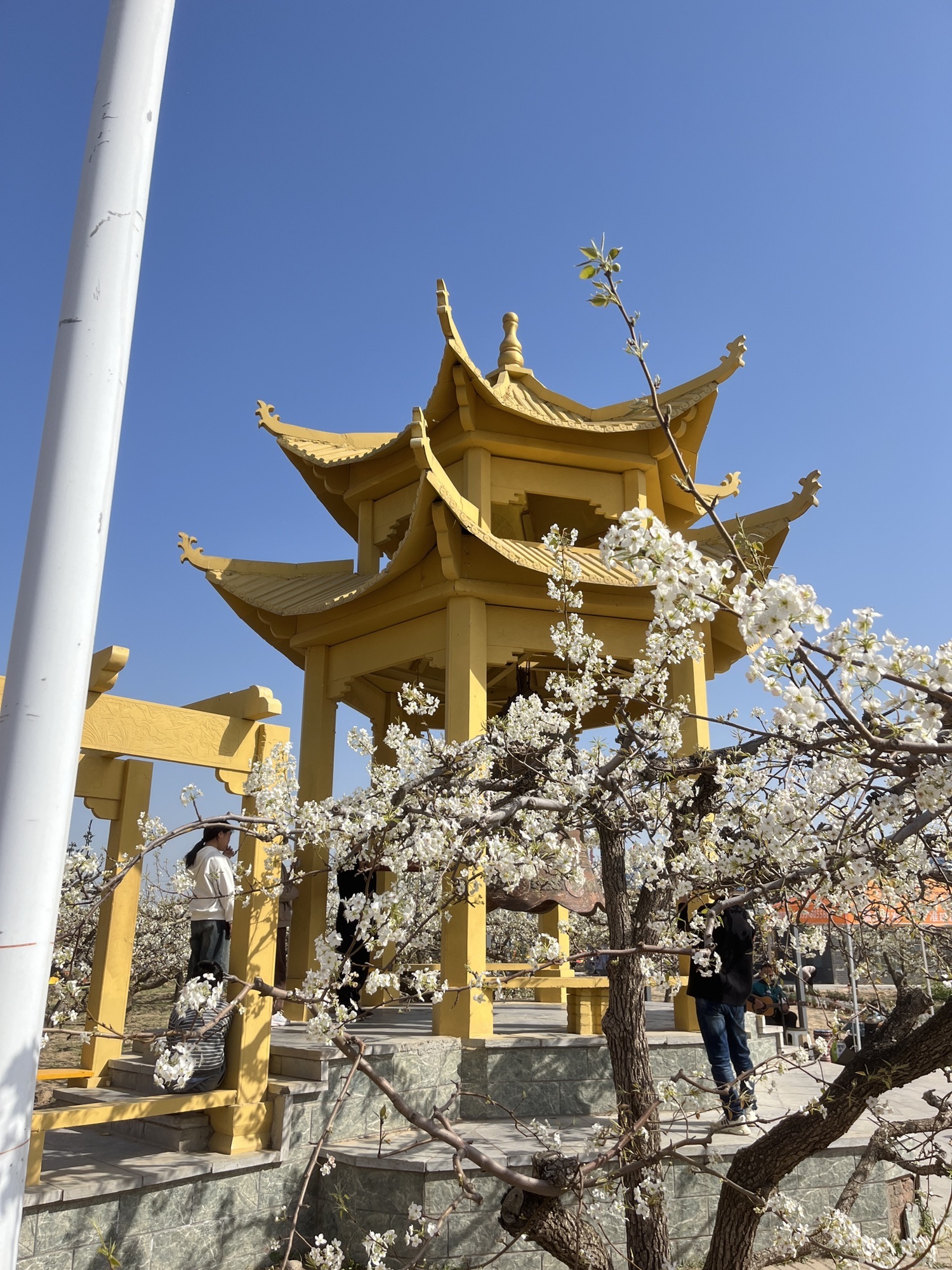 冠州梨园旅行图片 3
