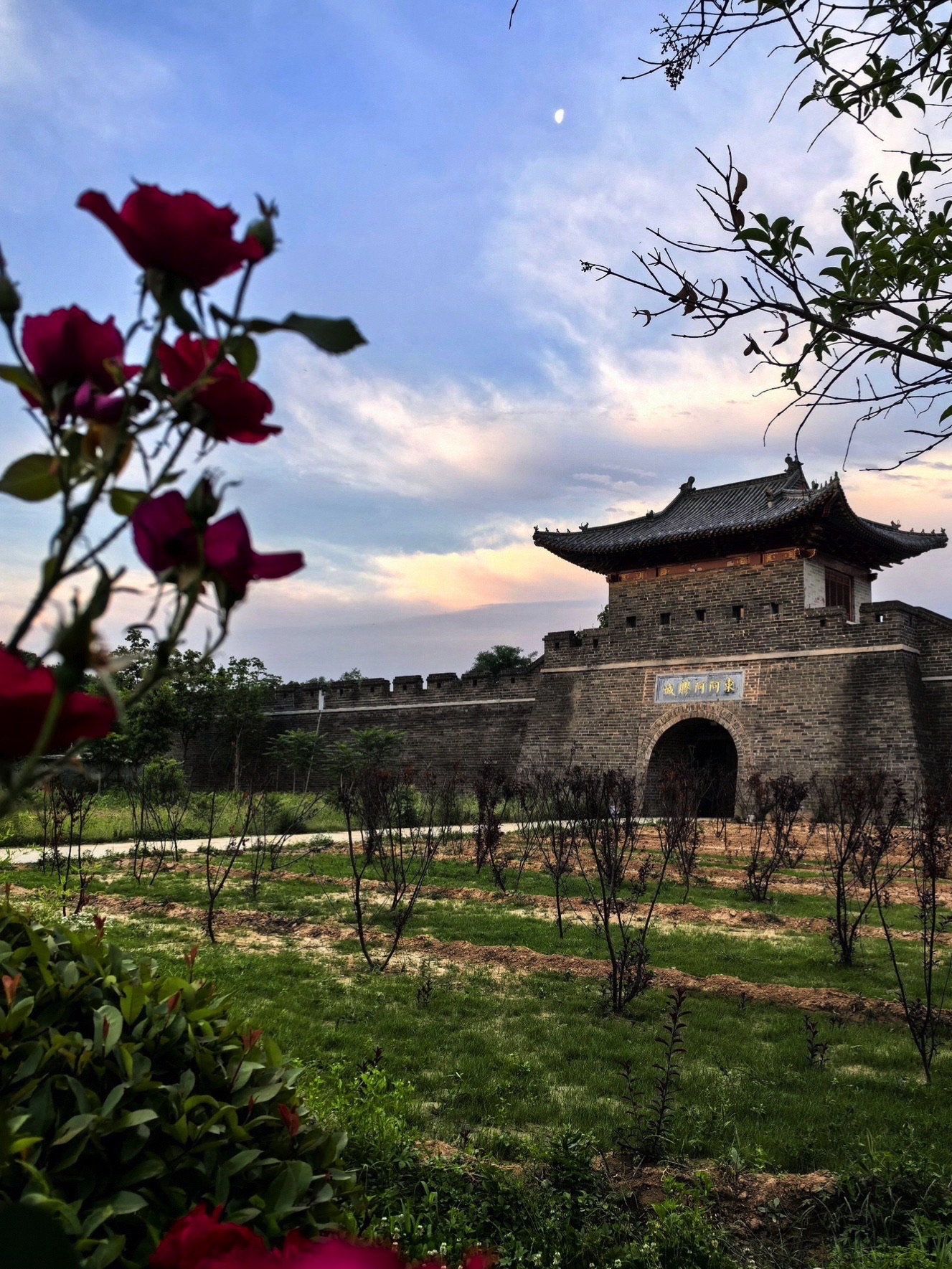 曹植公园旅行图片 2