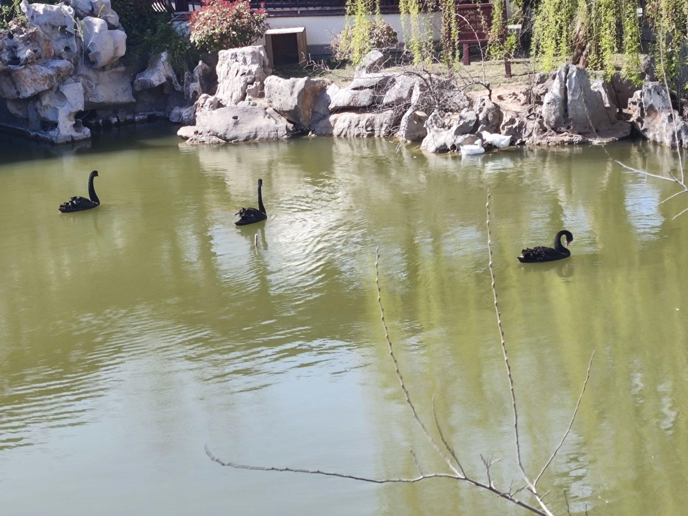 宛园旅行图片 1