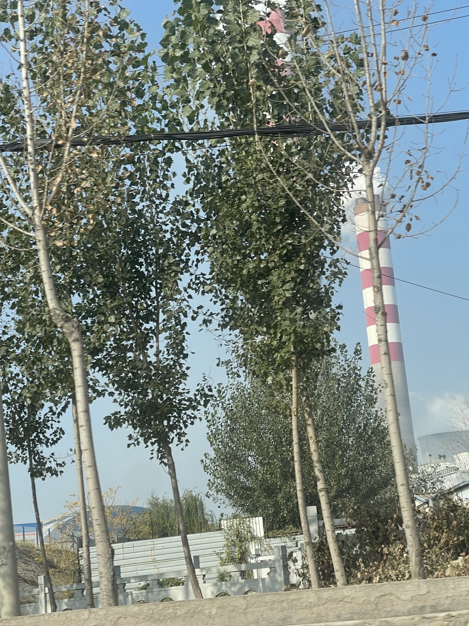 茌平区人民广场旅行图片 1