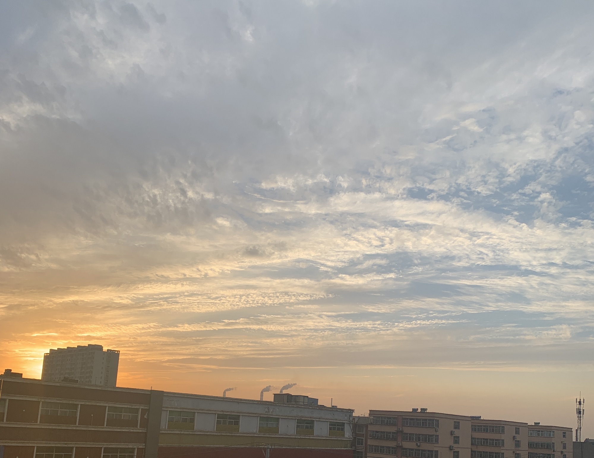 茌平区人民广场旅行图片 3