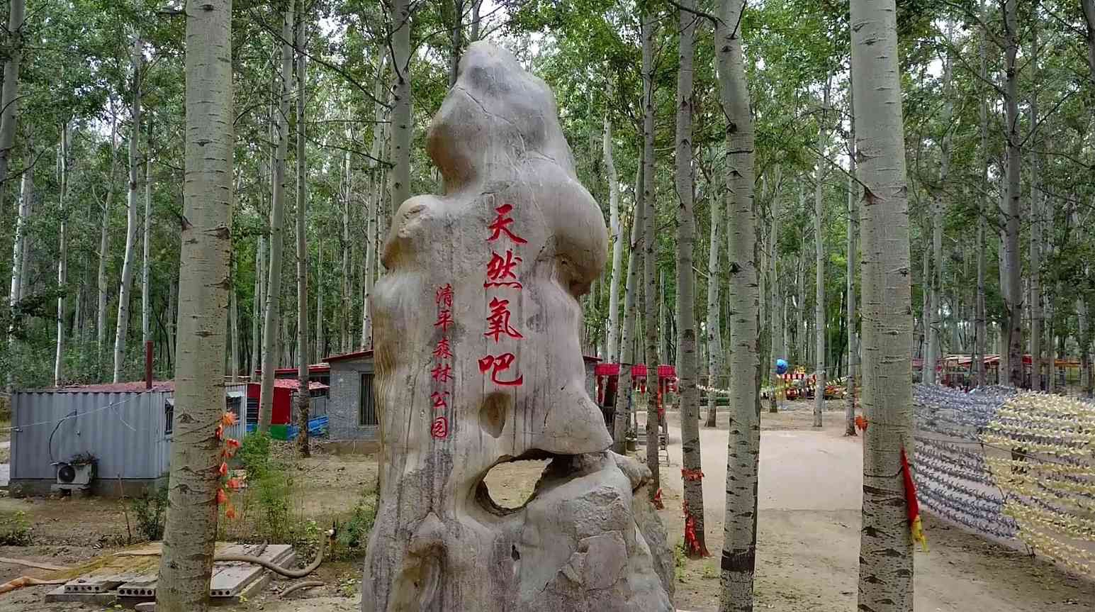 清平镇生态旅游区旅行图片 1