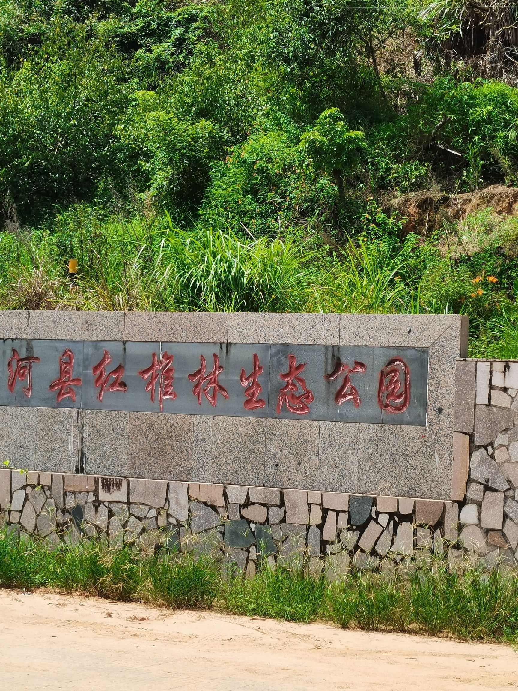 汕尾红椎林生态公园旅行图片 3