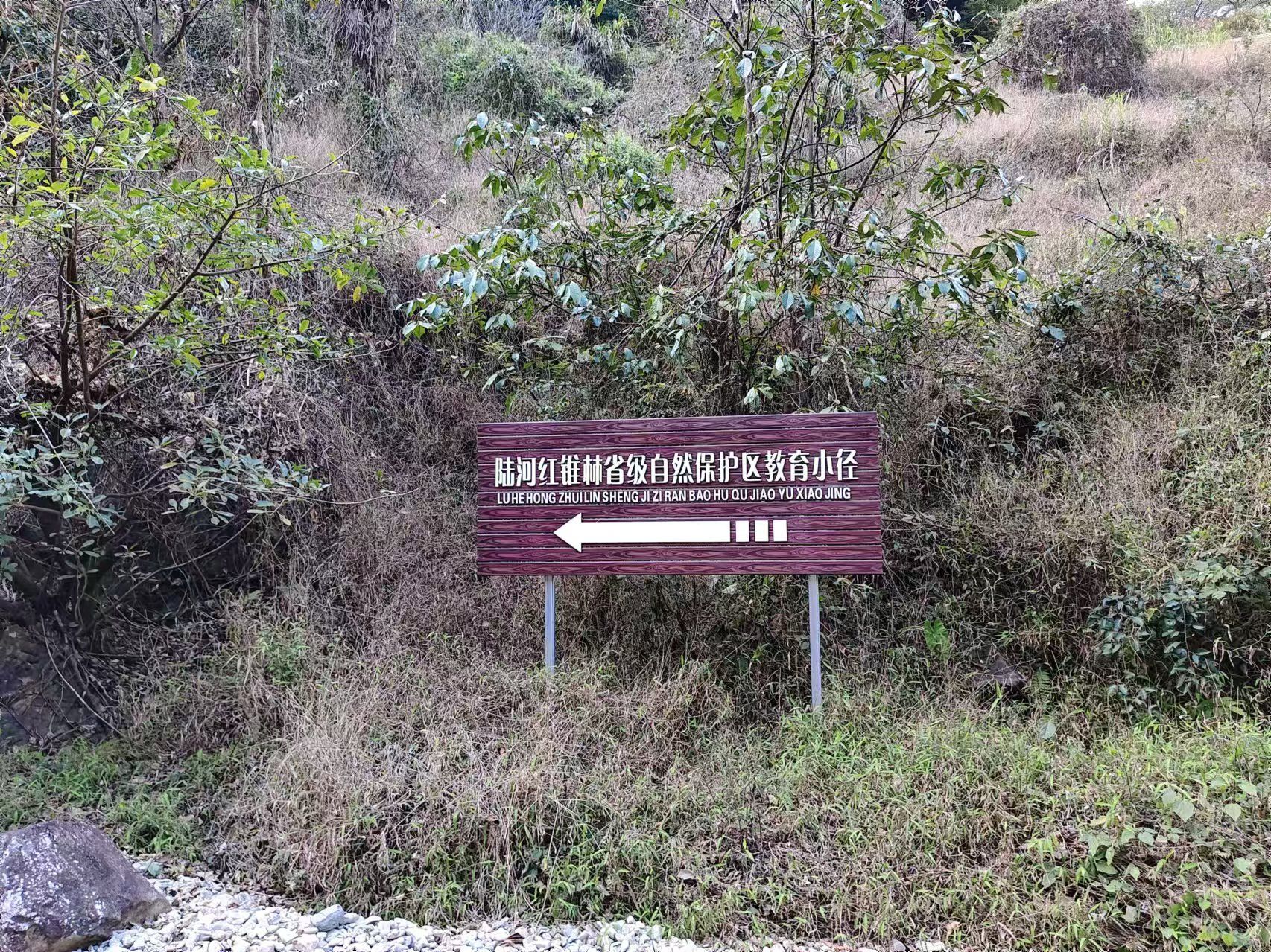 汕尾红椎林生态公园旅行图片 1