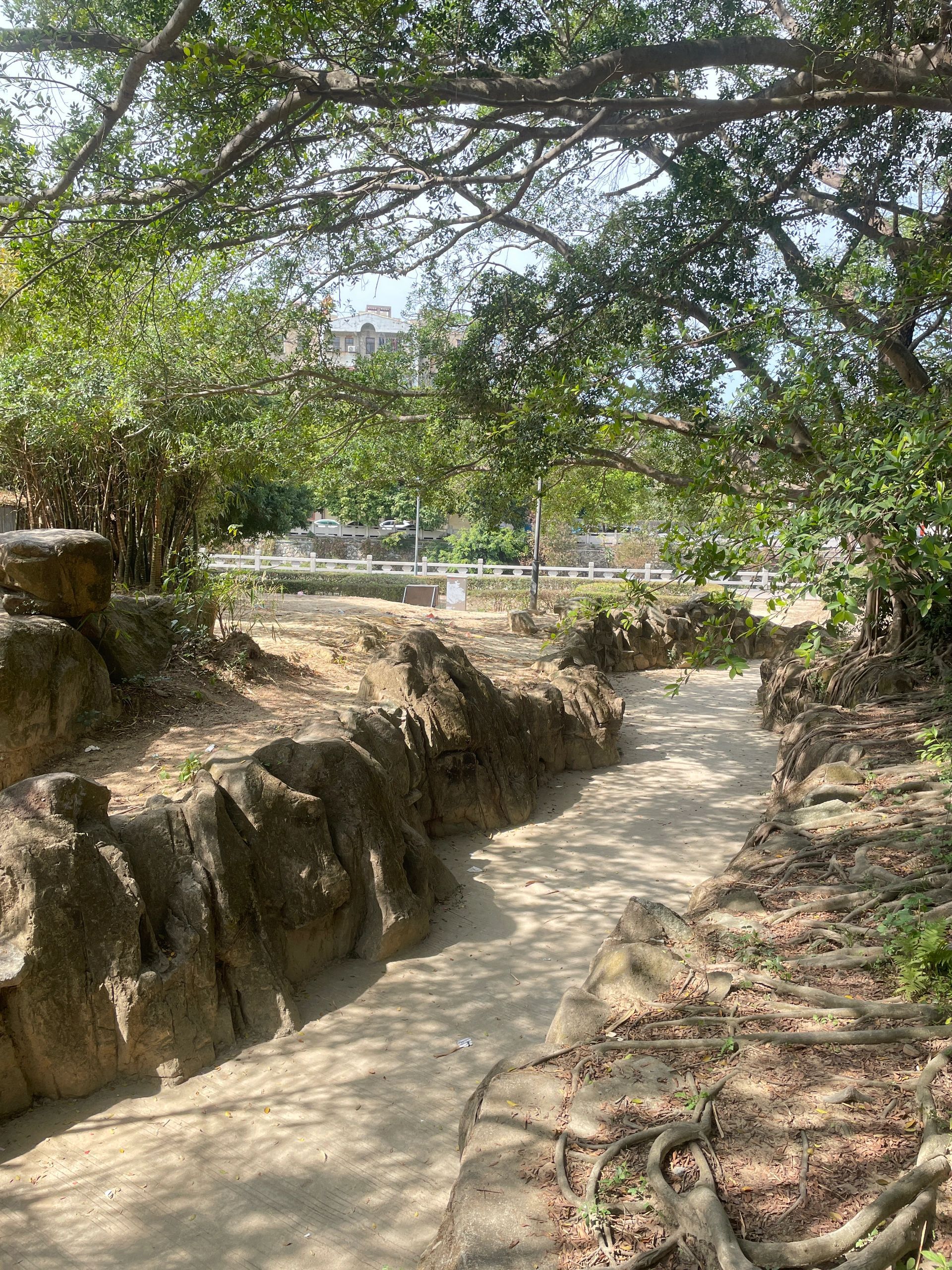 玉照公园旅行图片 2