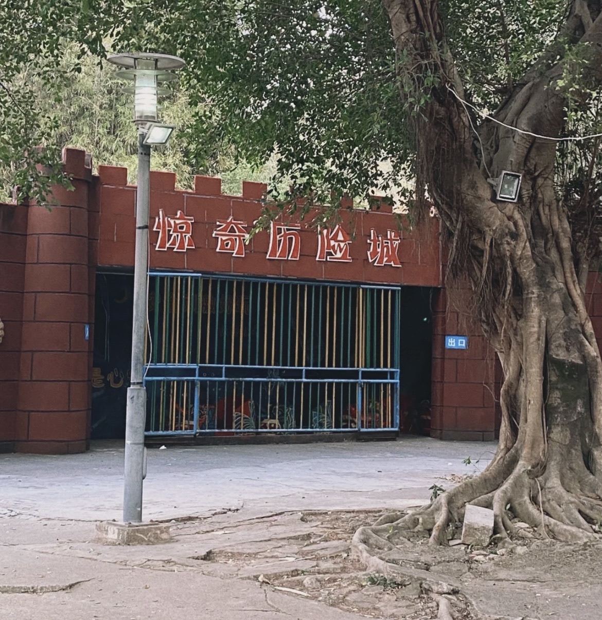 玉照公园旅行图片 2