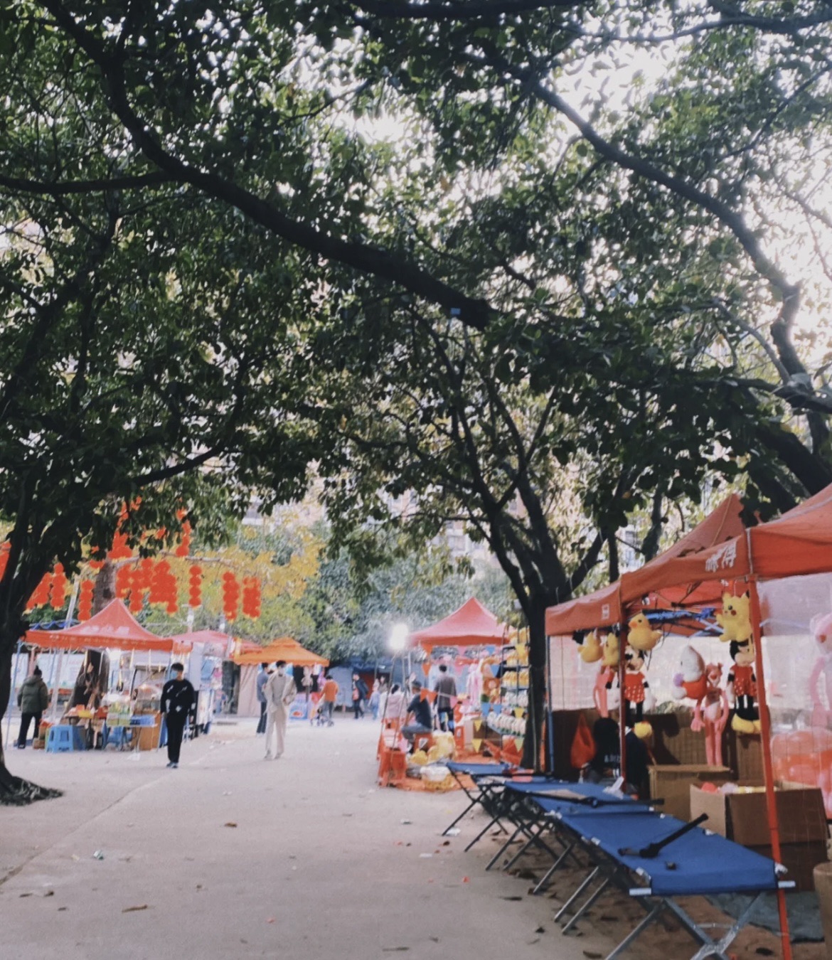 玉照公园旅行图片 1