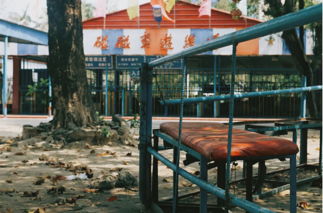 玉照公园旅行图片 2