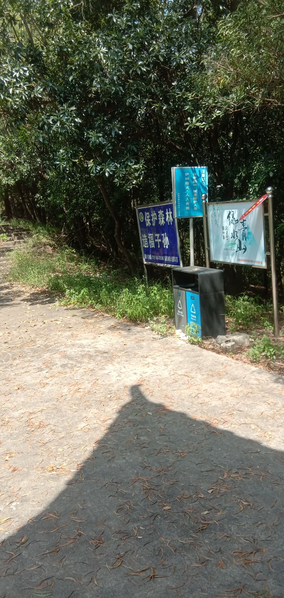 大鹏山公园旅行图片 2