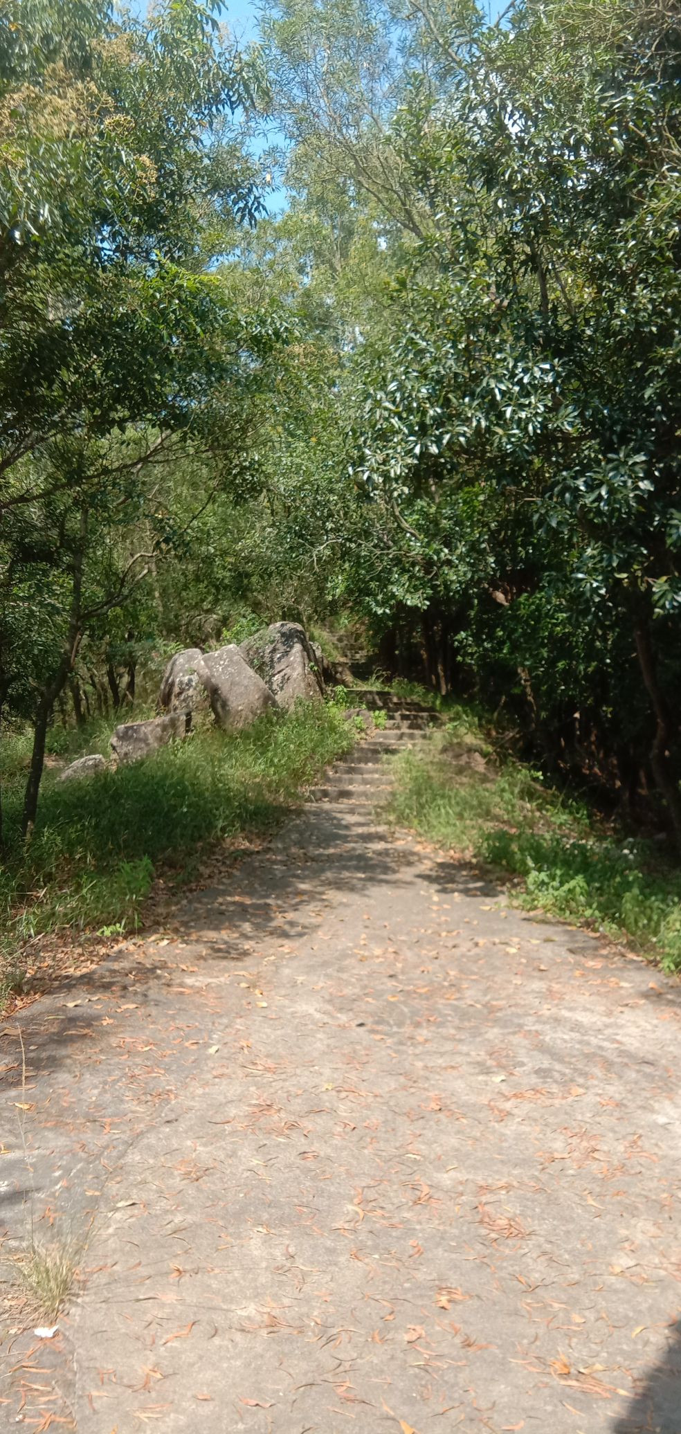 大鹏山公园旅行图片 1