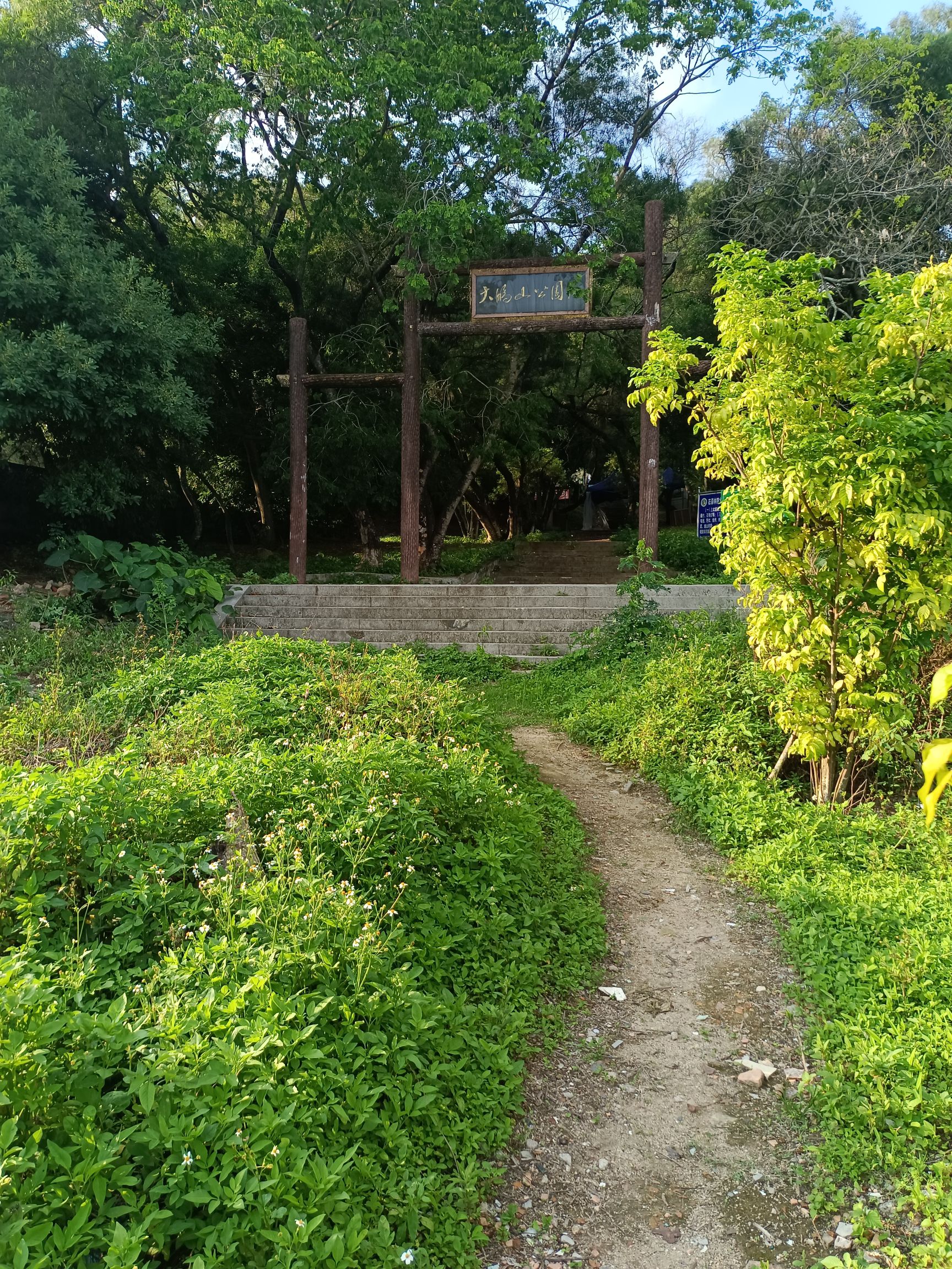 大鹏山公园旅行图片 1