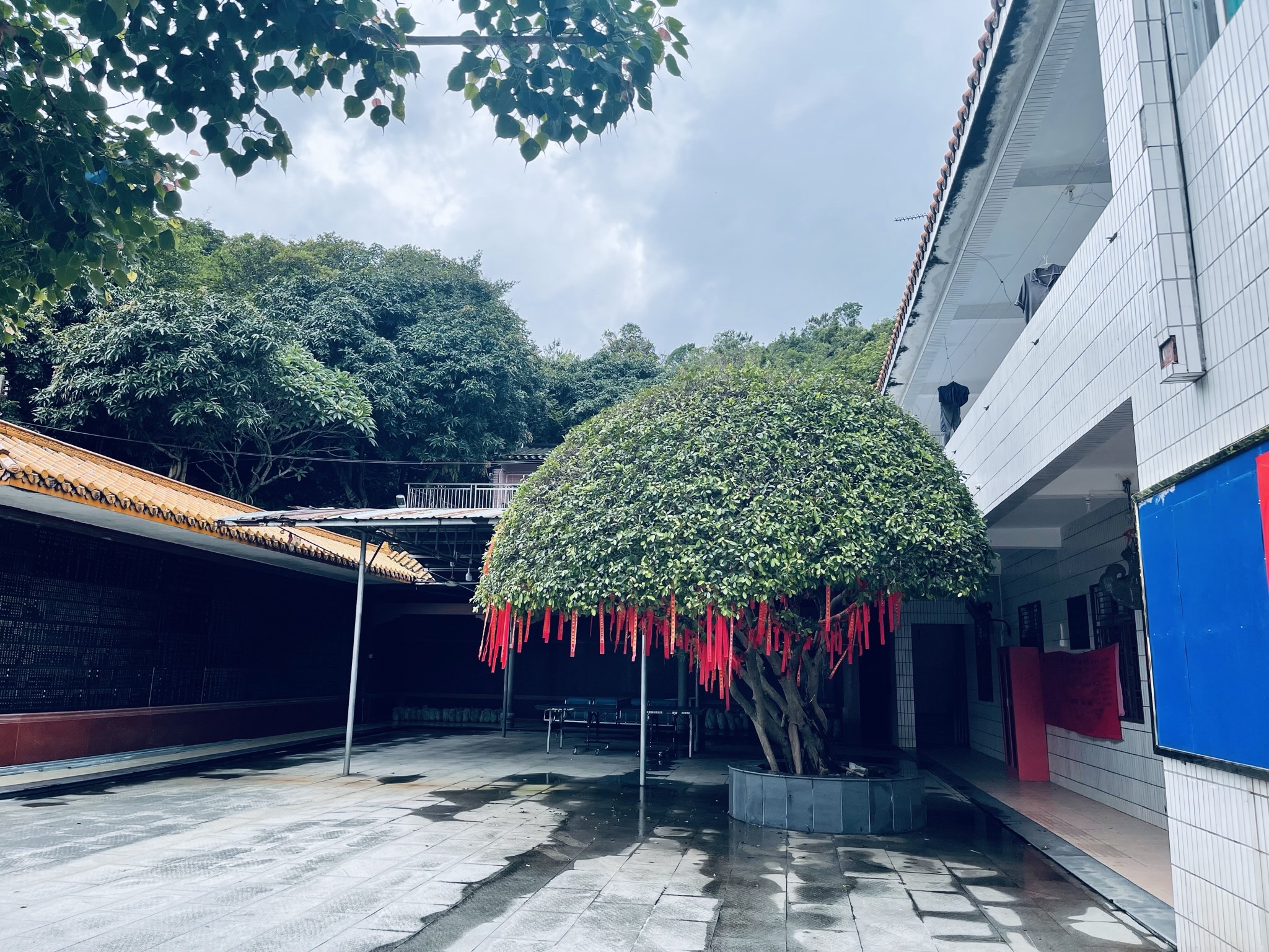 莲花山度假村旅行图片 2