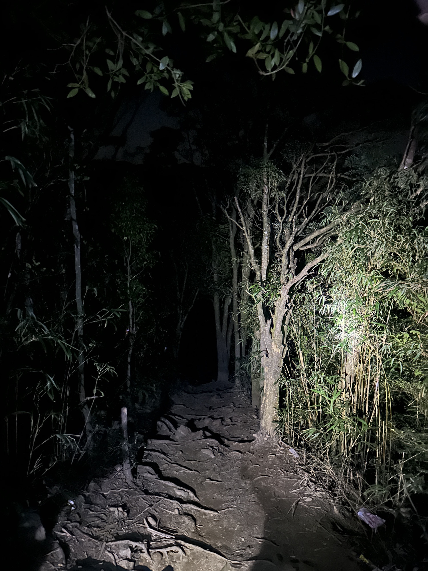 莲花山度假村旅行图片 1