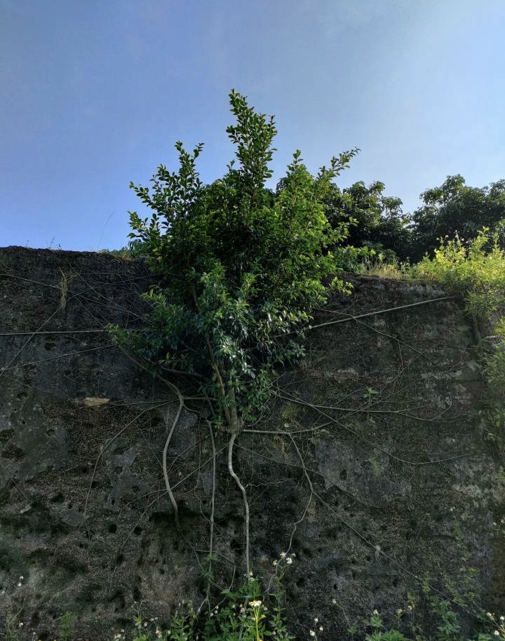 奎湖古堡旅行图片 2