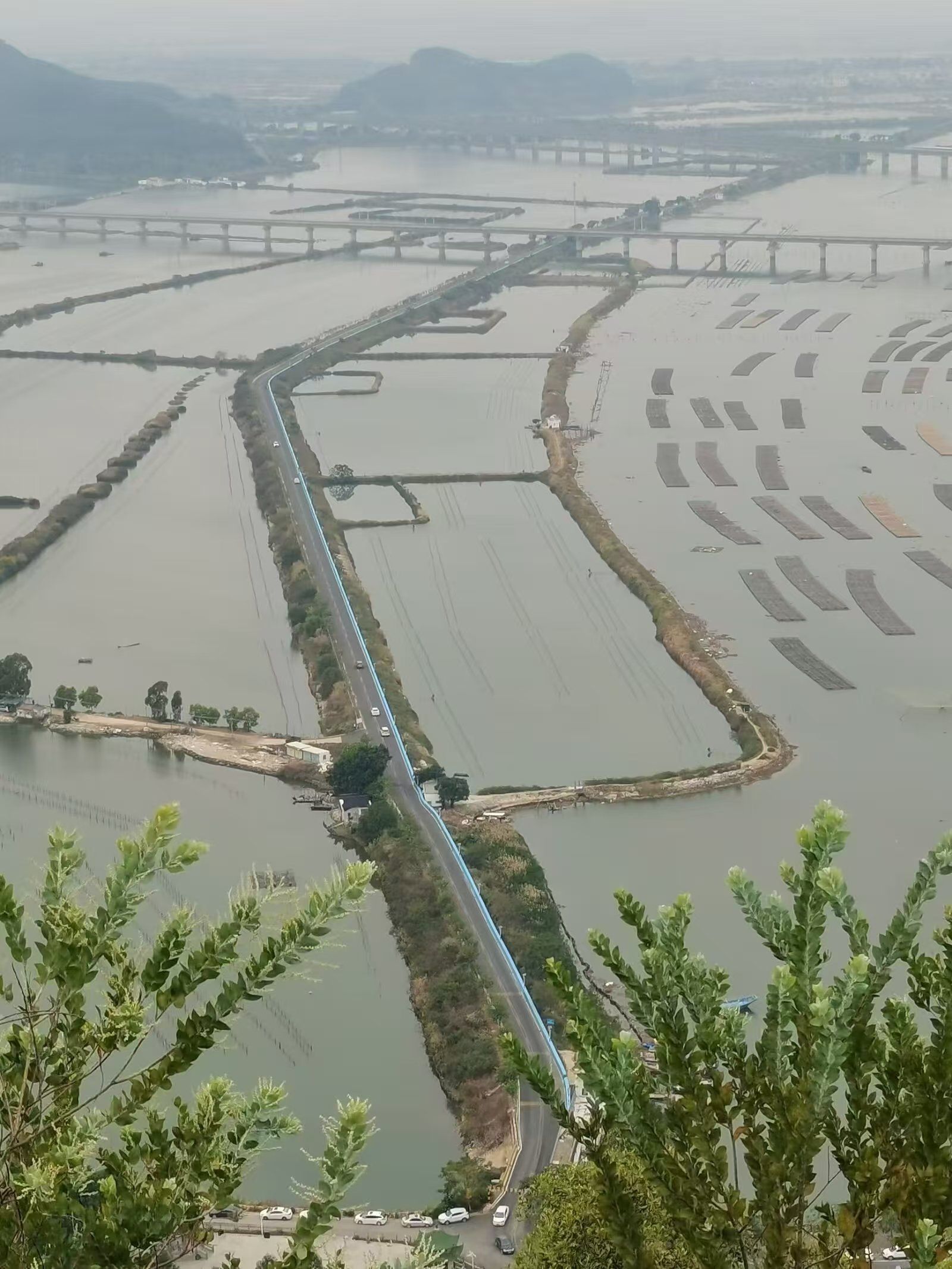 海丰县大德妈祖庙旅游区旅行图片 1