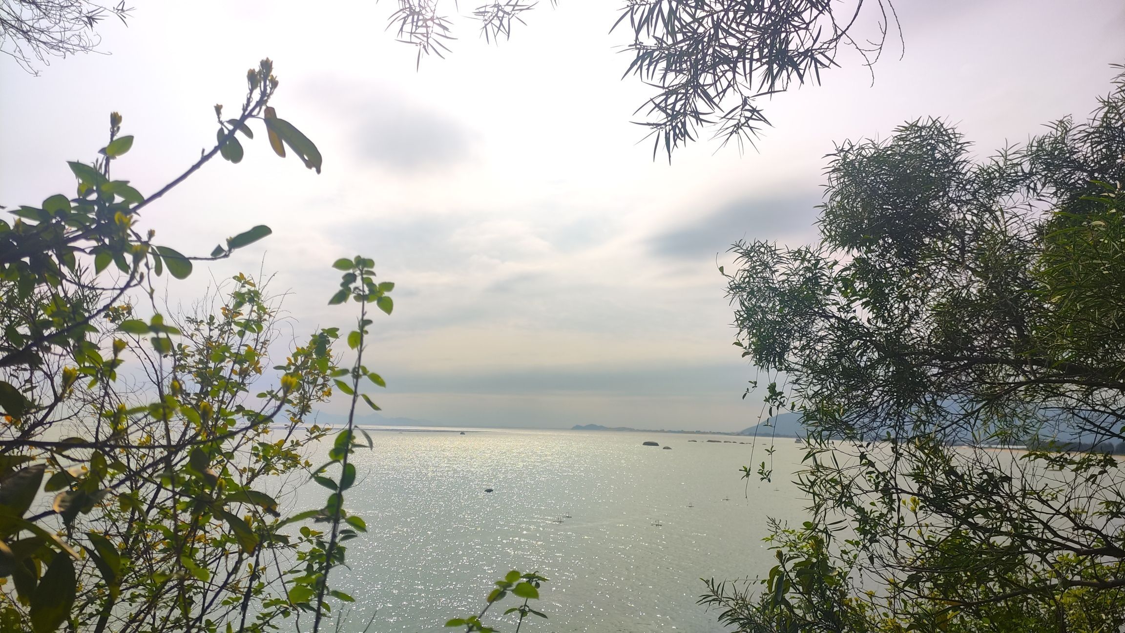 观音岭旅行图片 3