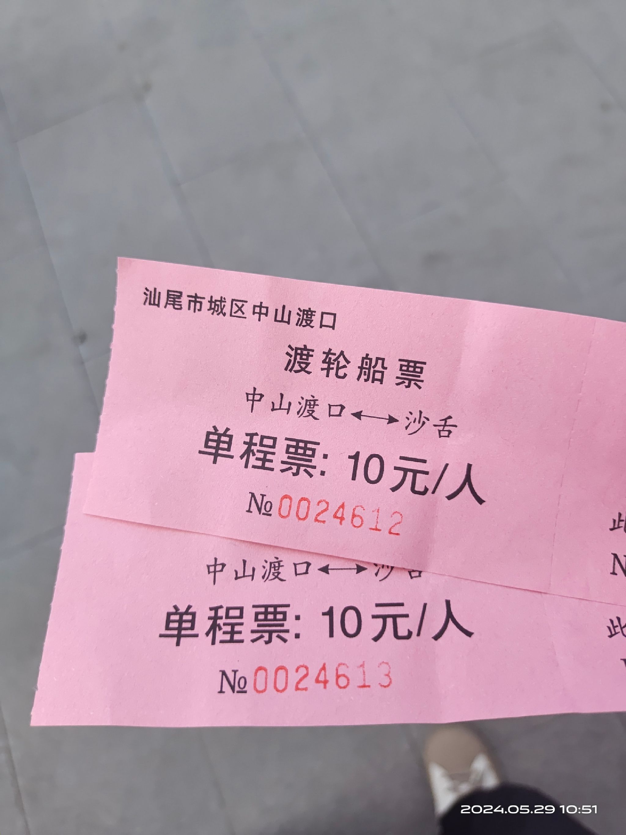 情浓湾泳滩旅行图片 1