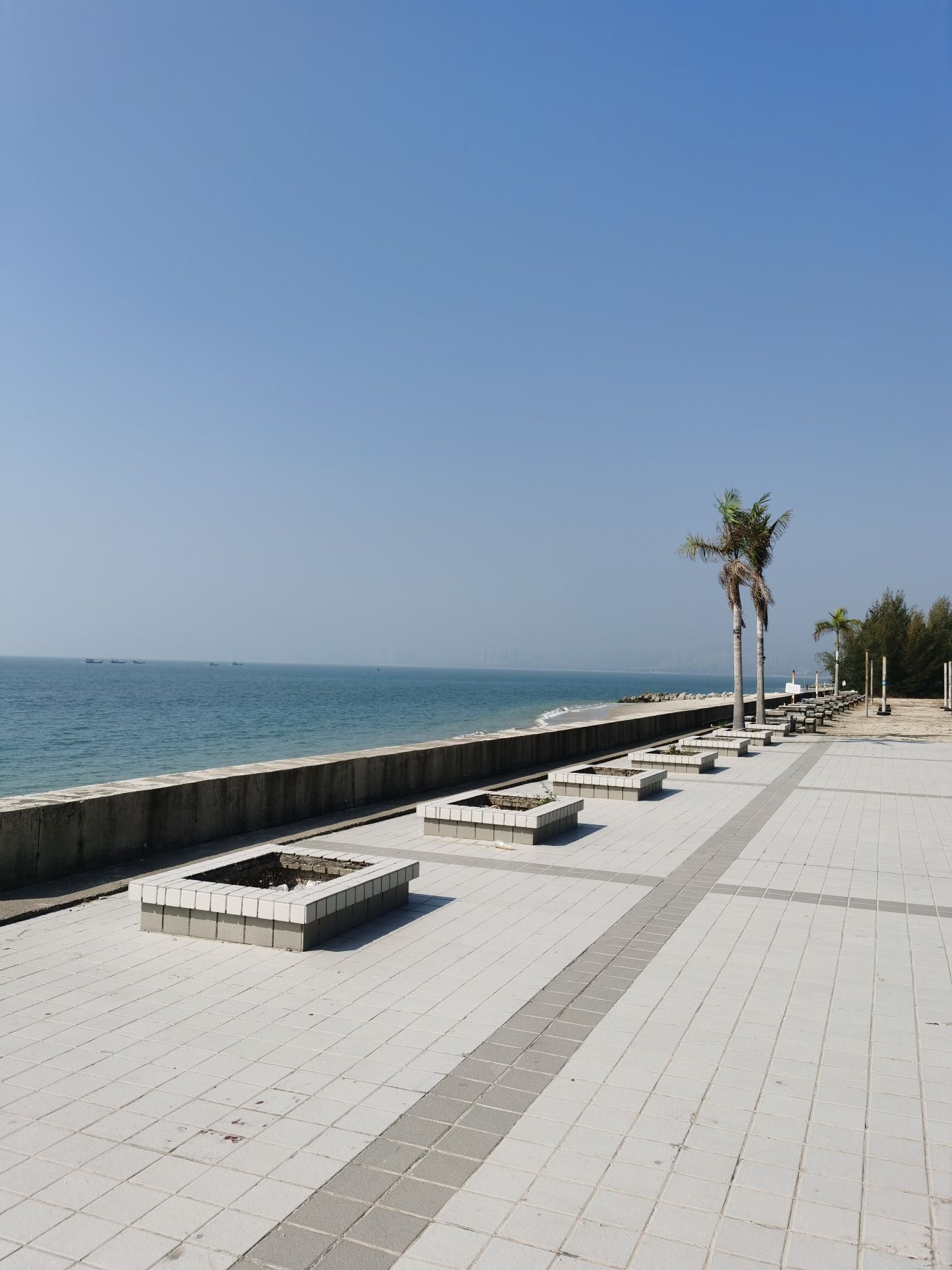 情浓湾泳滩旅行图片 1