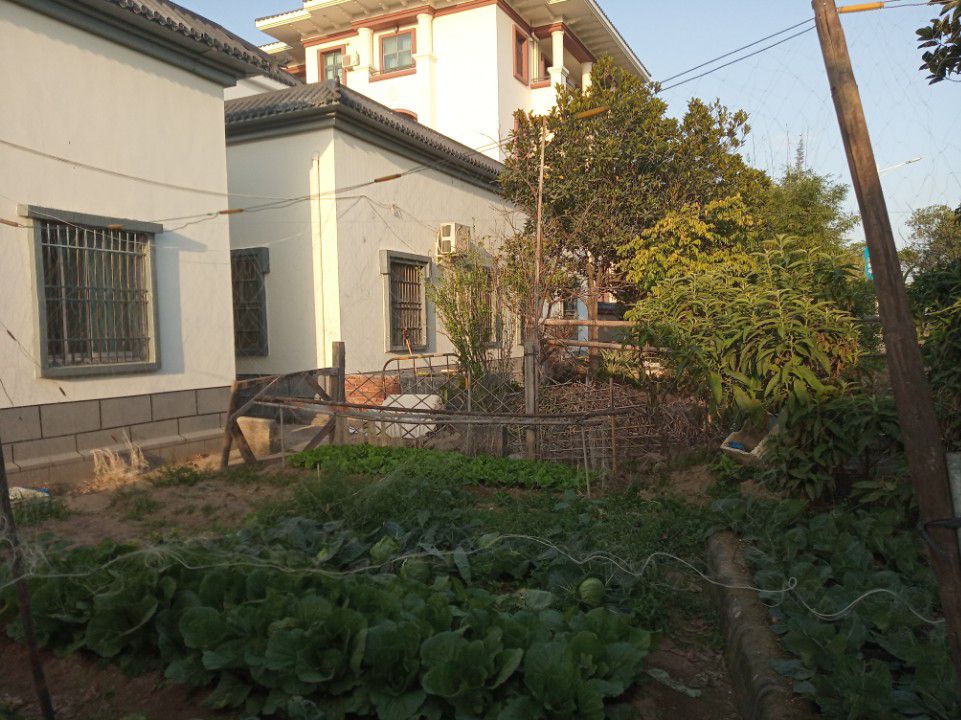 银珠公园旅行图片 1