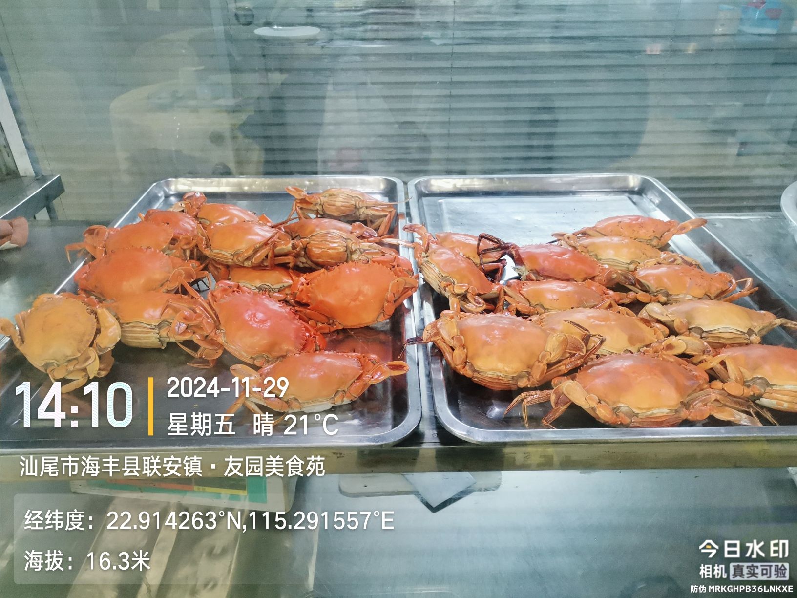 友园美食苑