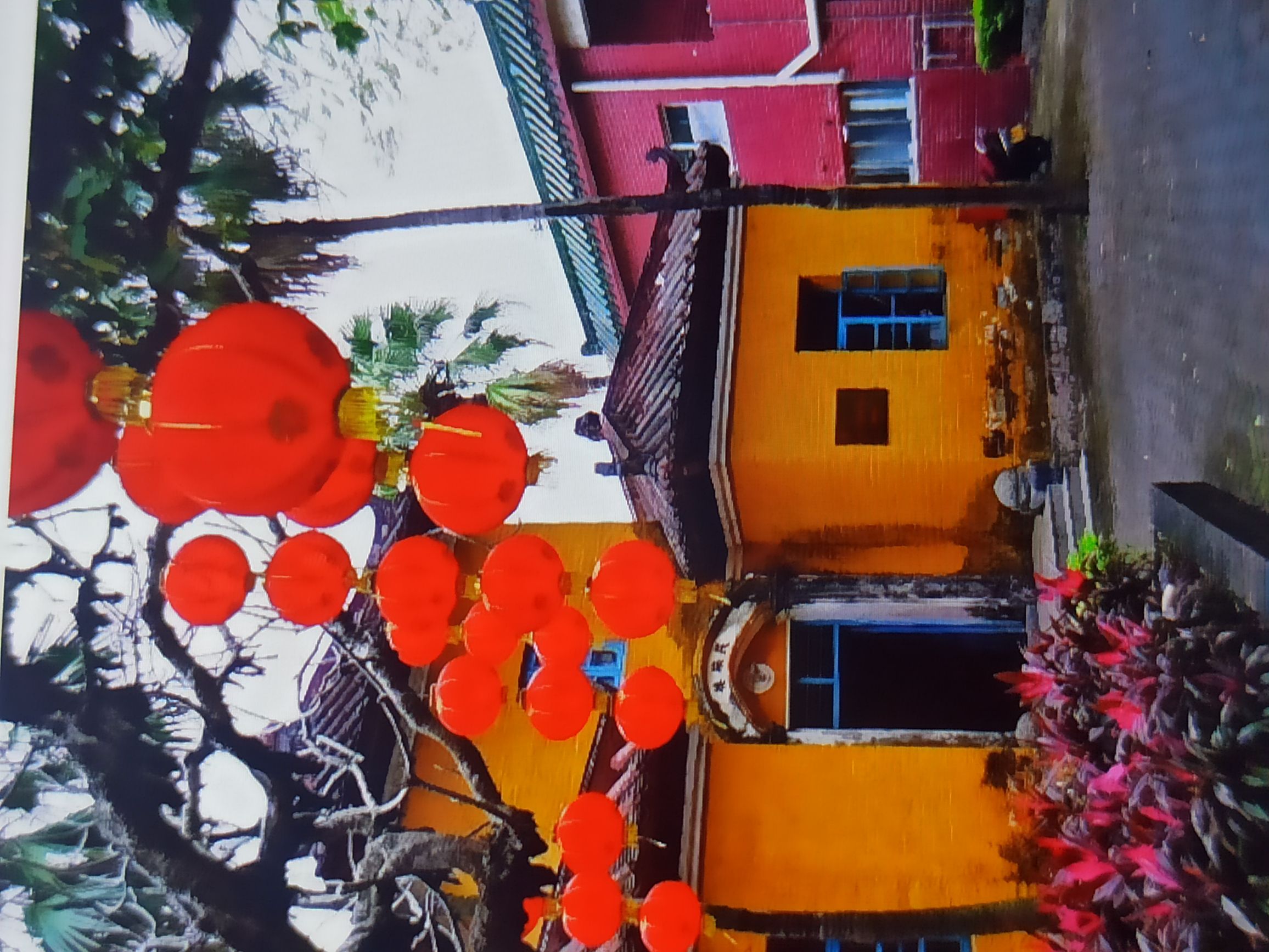 中山公园旅行图片 2