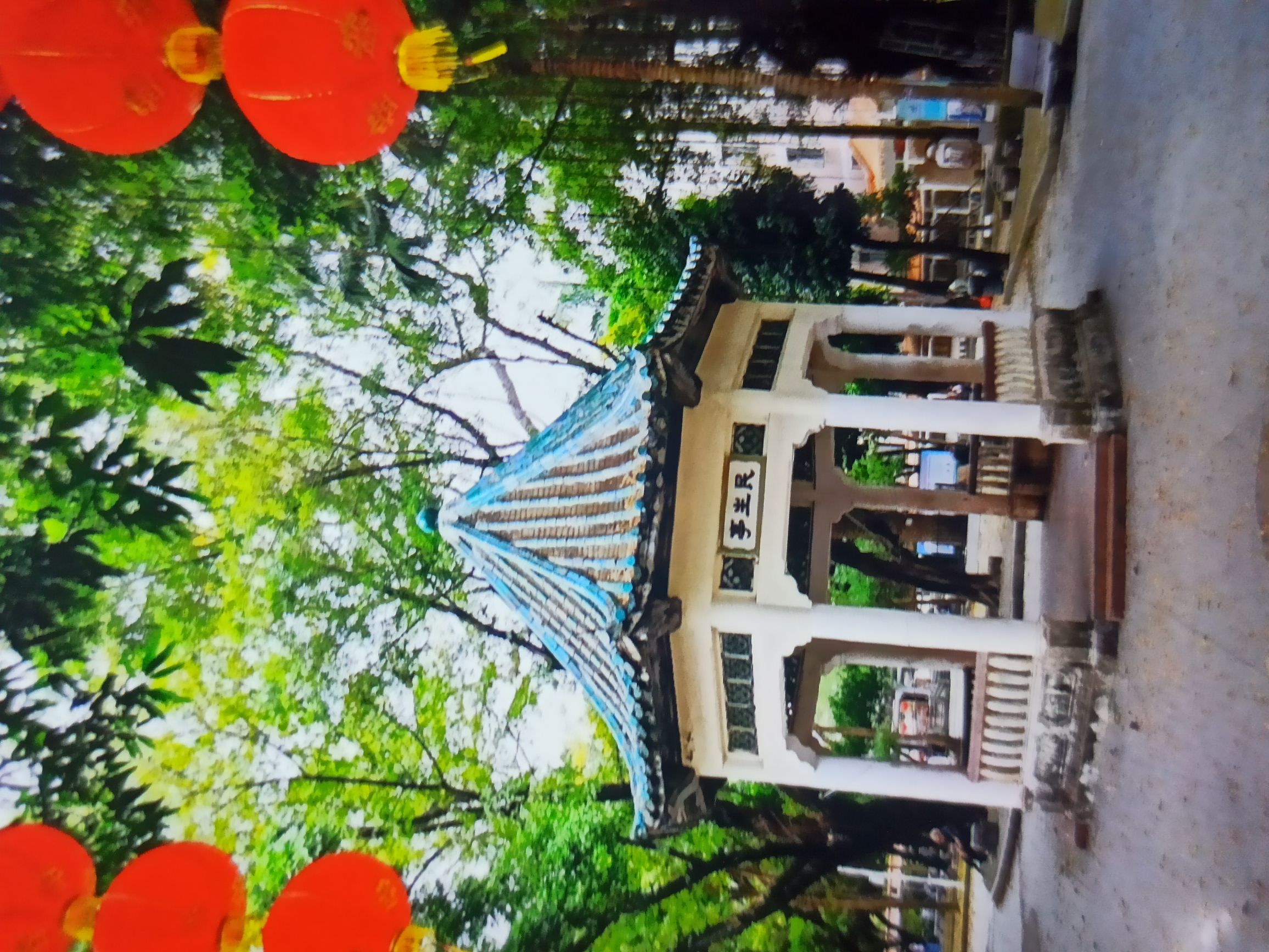 中山公园旅行图片 3