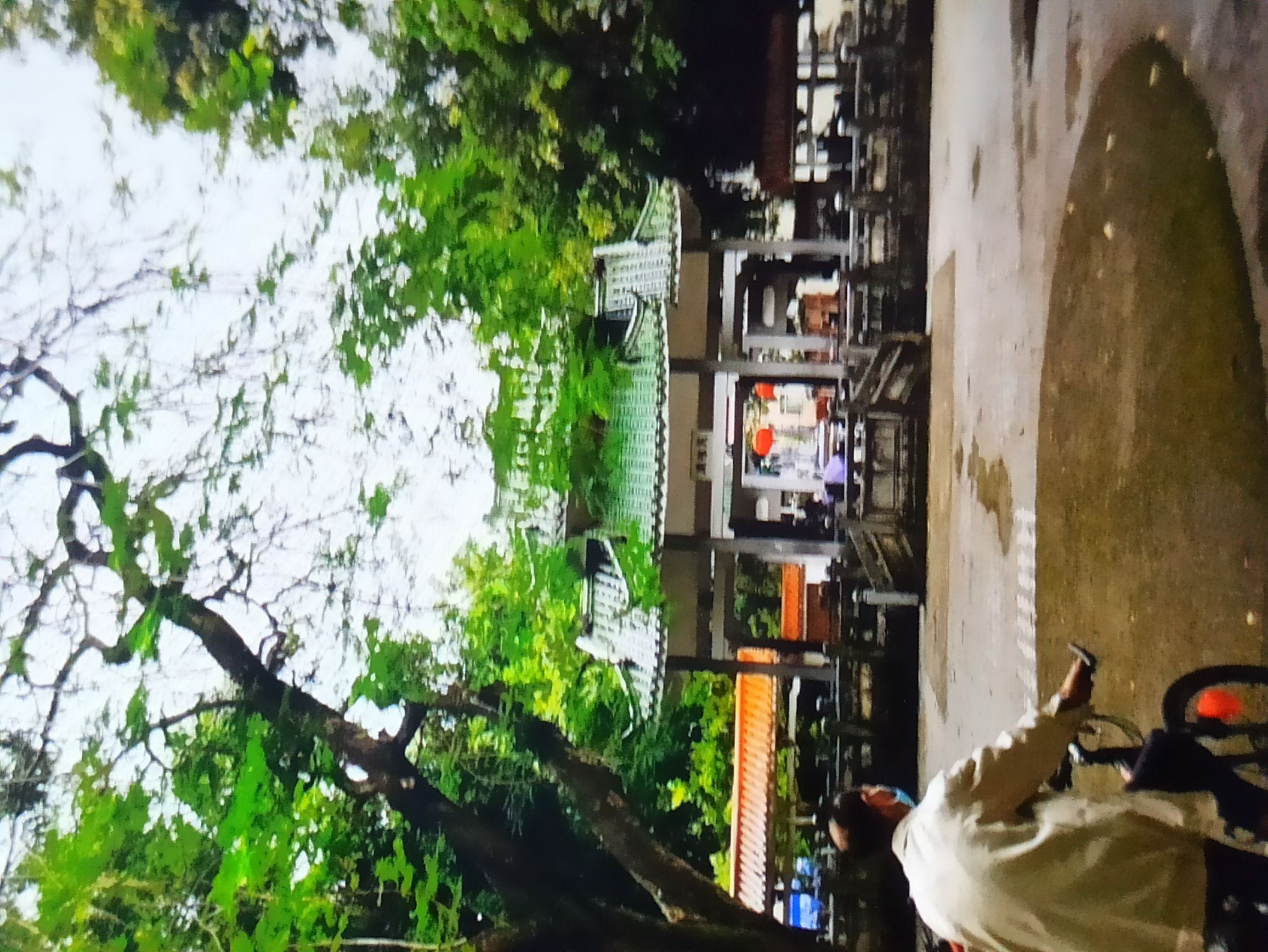 中山公园旅行图片 1